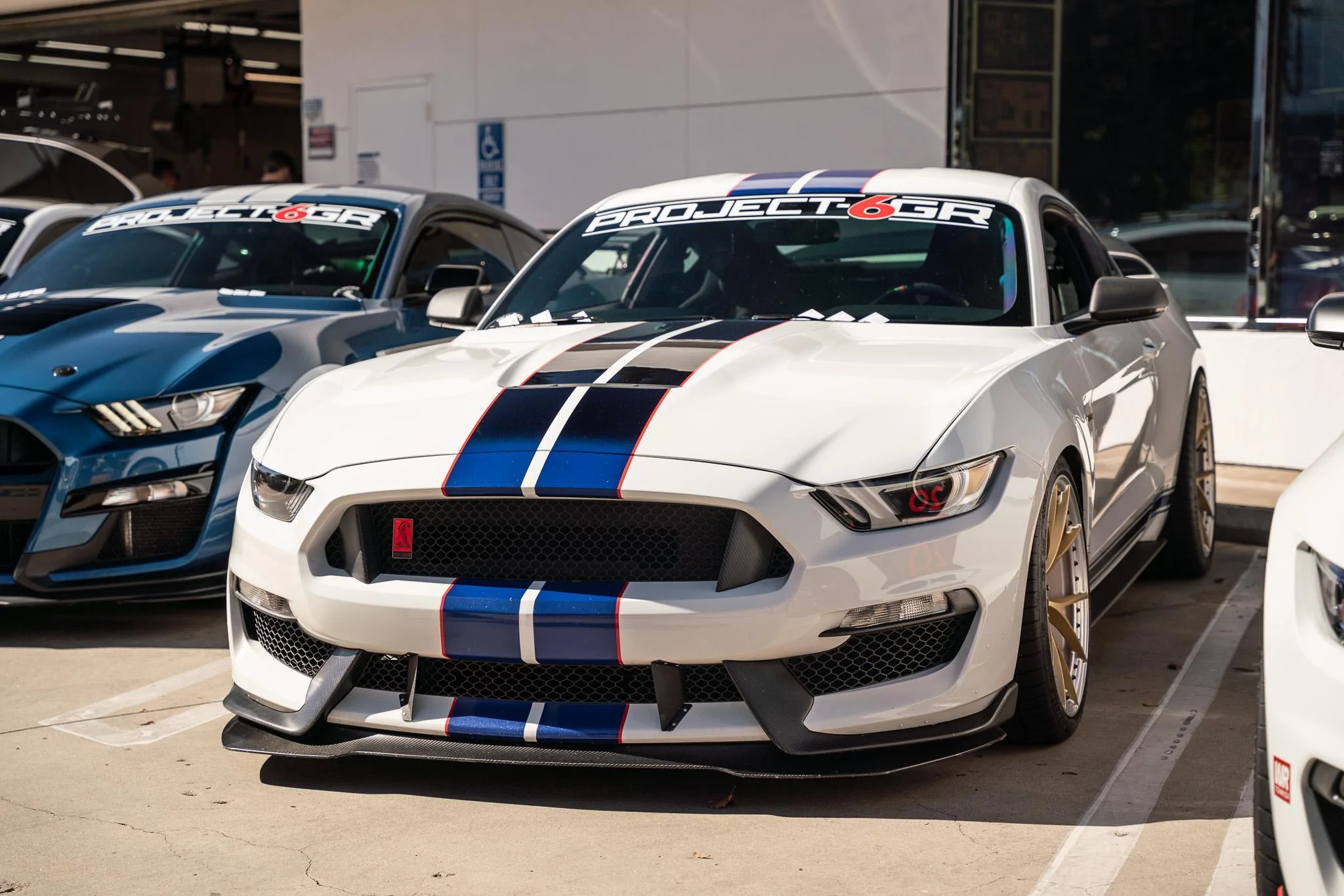 Galpin show 9.jpg
