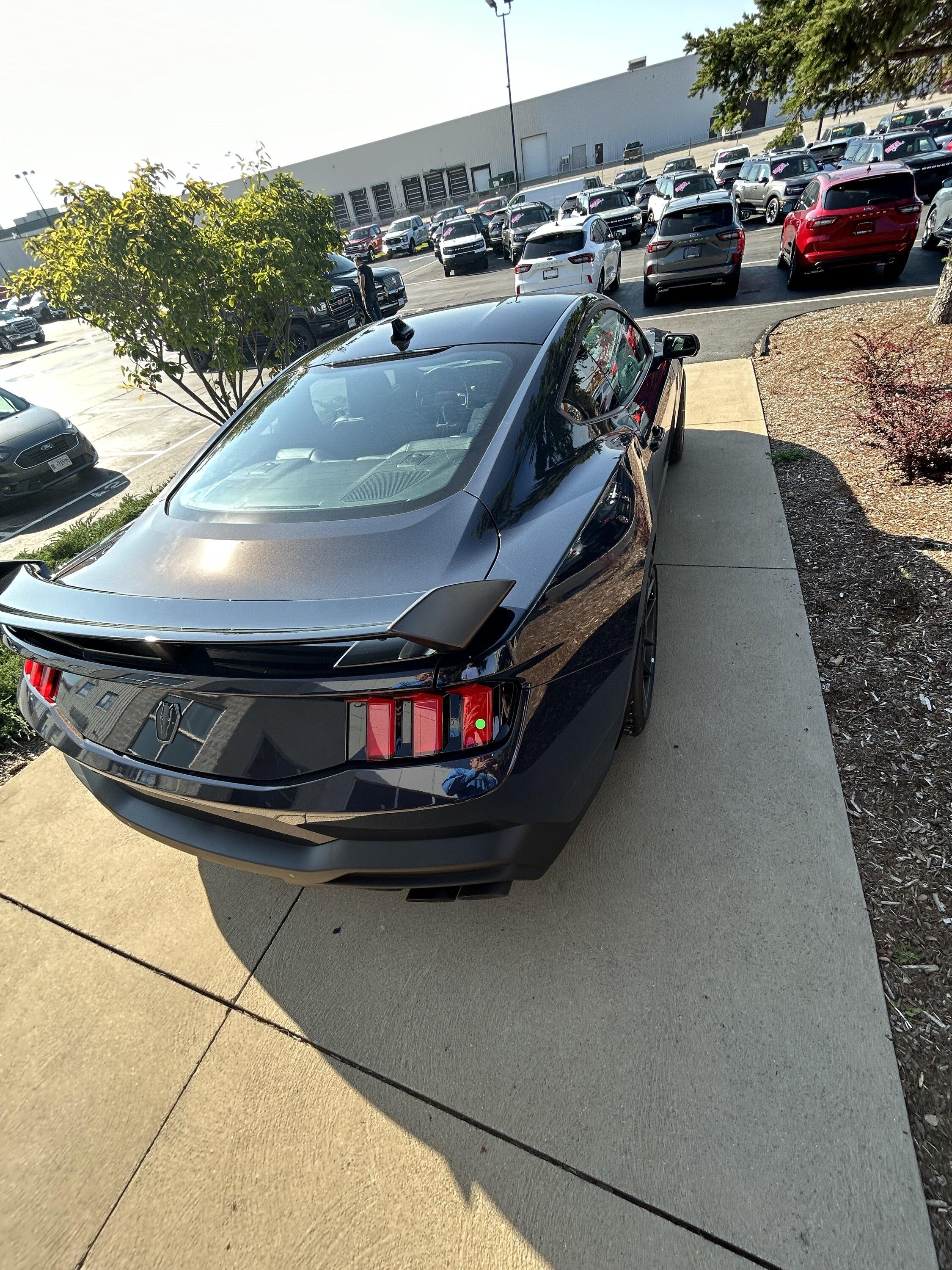 S650 Mustang Official BLUE EMBER Mustang S650 Thread IMG_1062