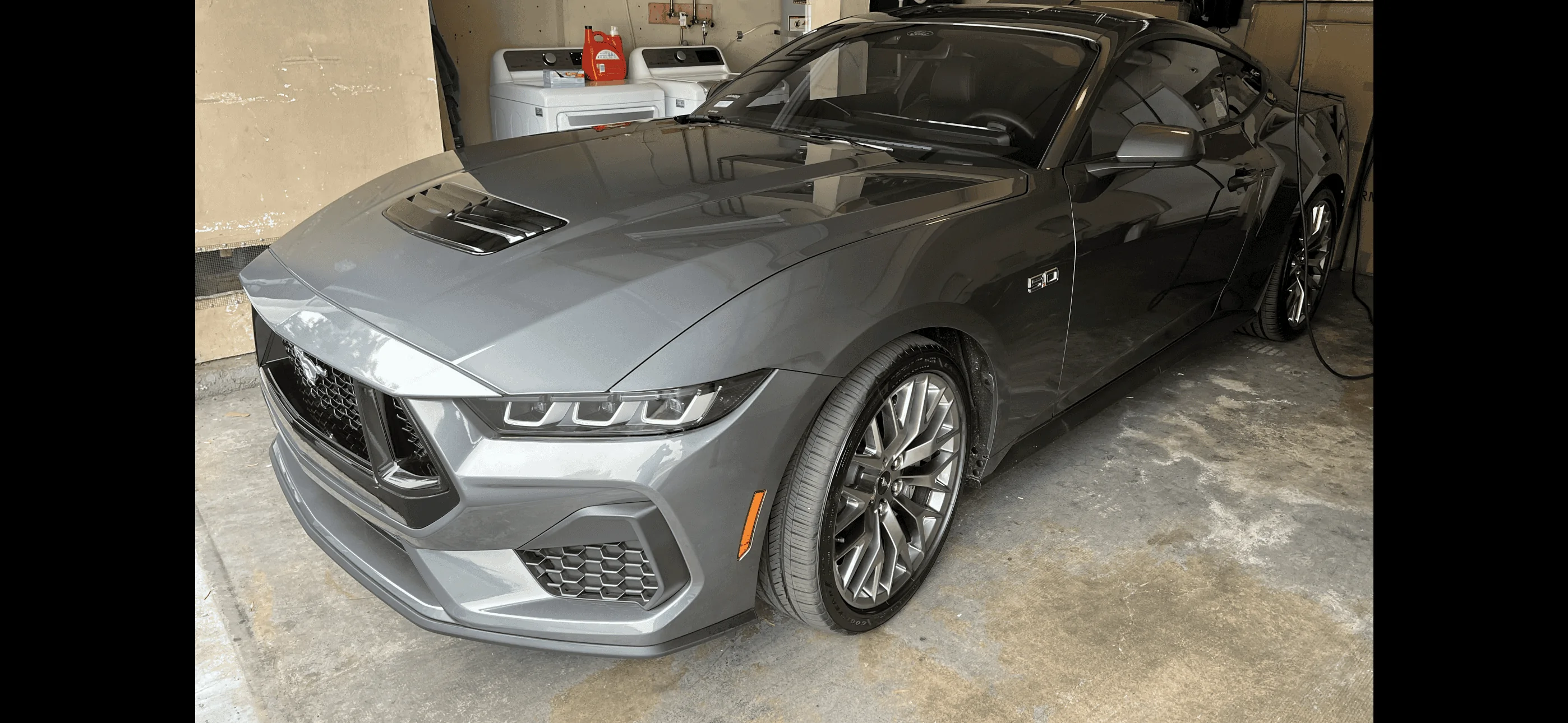 S650 Mustang Official CARBONIZED GRAY Mustang S650 Thread IMG_0389