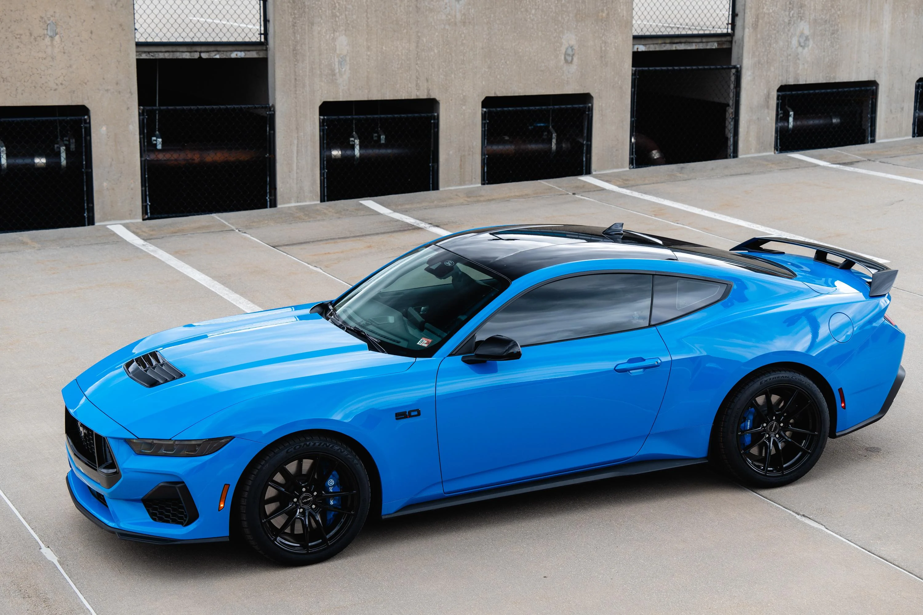S650 Mustang 93-Oct Mayne's Grabber Blue GT is home! Photos! DSA06798