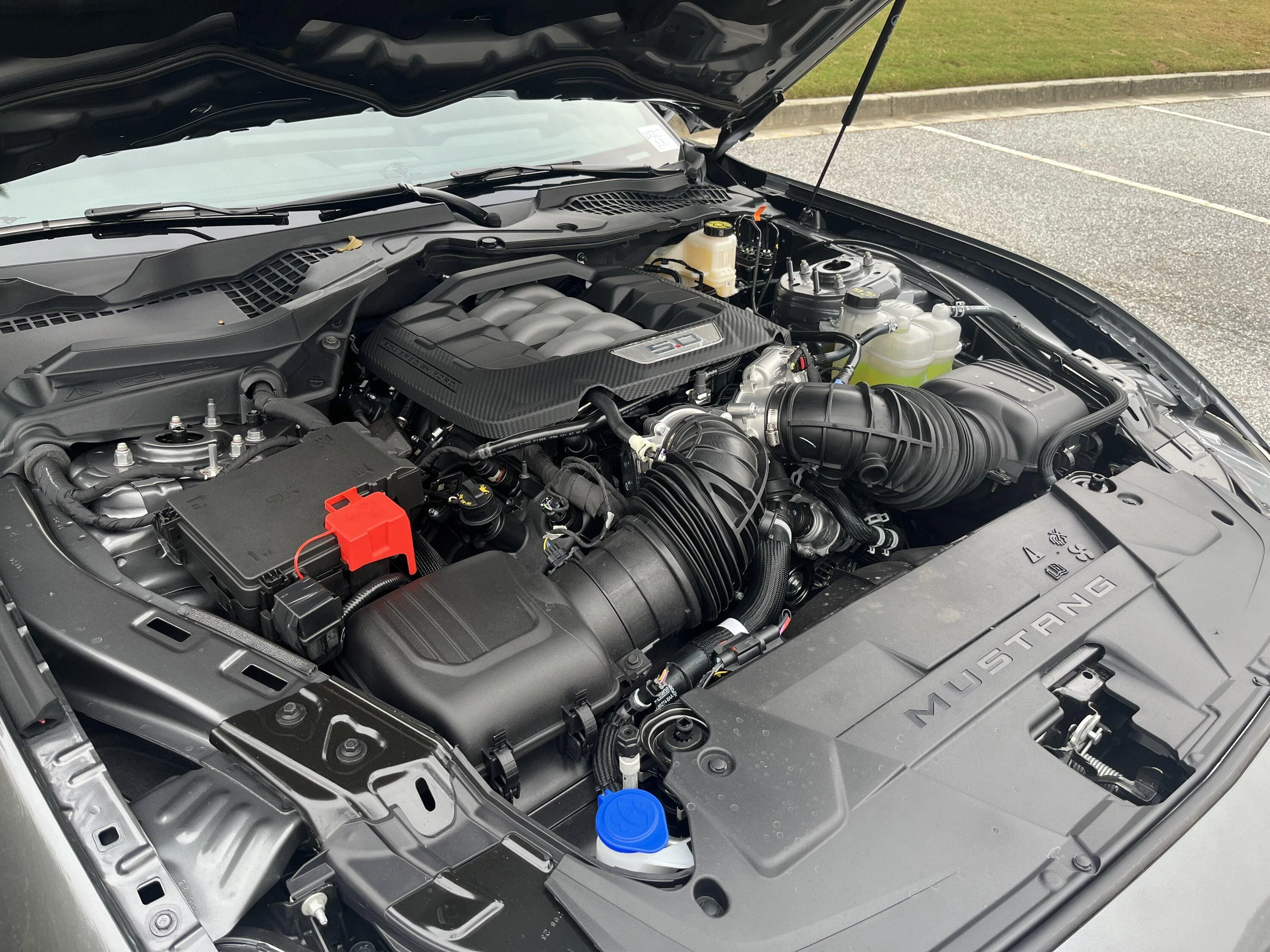 S650 Mustang Official CARBONIZED GRAY Mustang S650 Thread IMG_1962