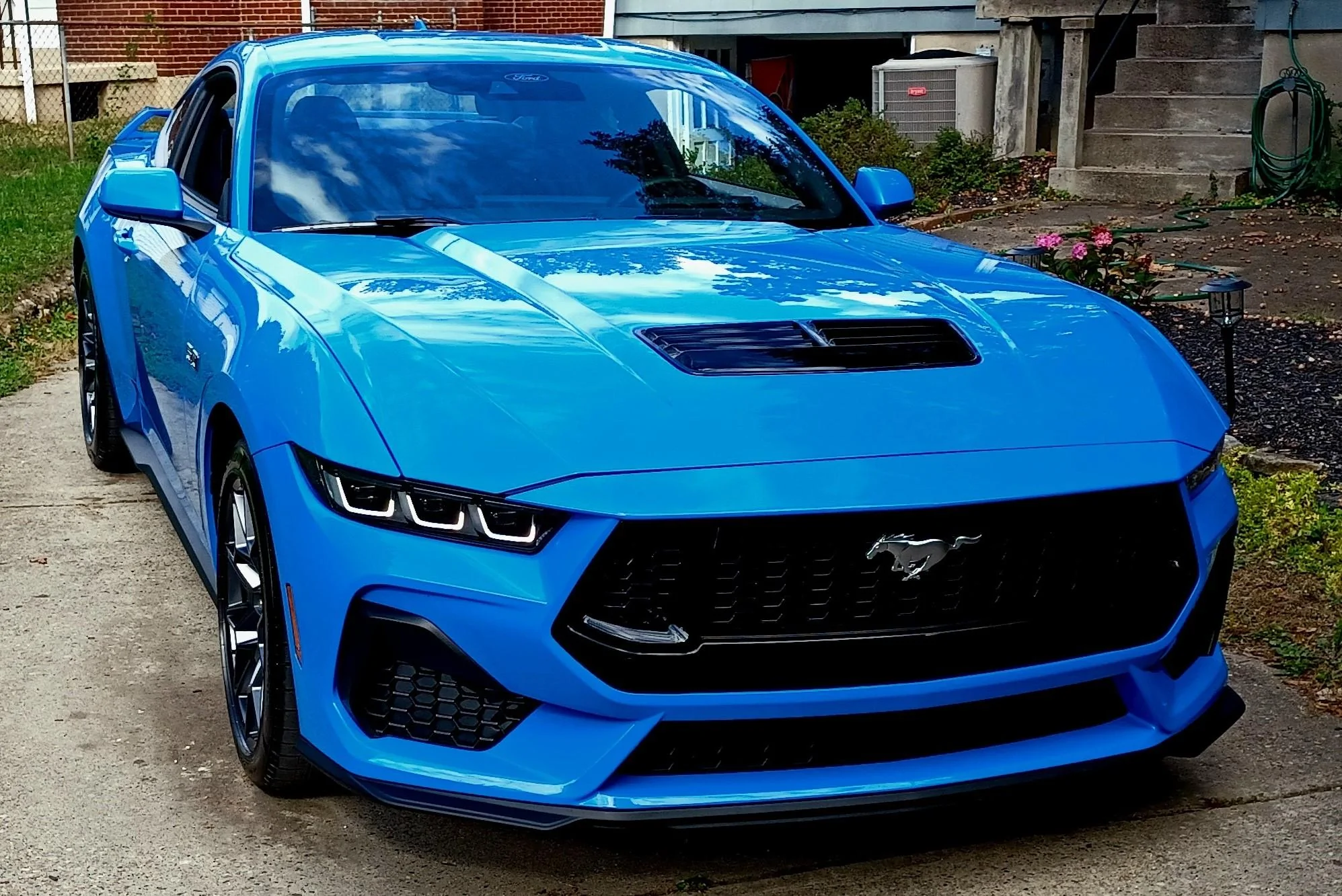 Grabber Blue 34.jpg