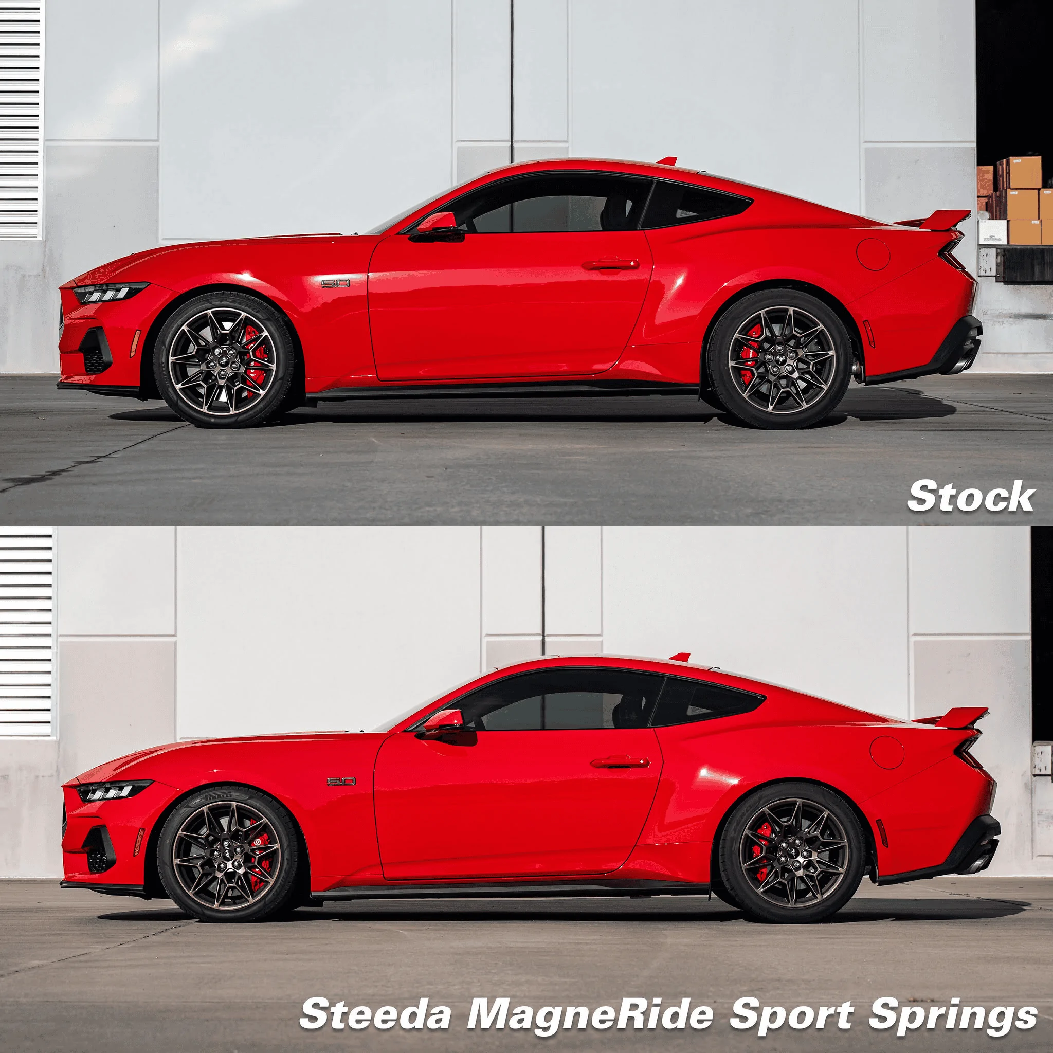 S650 Mustang Steeda Lowered - Sport / Minimum / Dual Rate Springs! 1695773501415-png