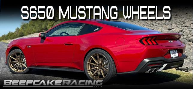 S650 Mustang Beefcake Racing Halloween SALE!!! 6G*MTY5NTczNDI2NC4xNDMxLjEuMTY5NTczNTcxNS42MC4wLjA