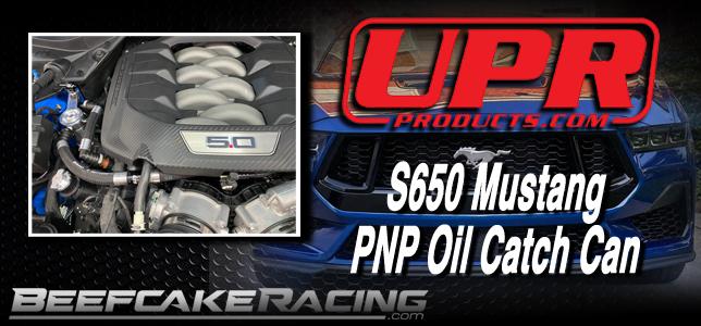 S650 Mustang Beefcake Racing Halloween SALE!!! 6G*MTY5NTkwMzc3NC4xNDM5LjEuMTY5NTkxMDg4OC42MC4wLjA