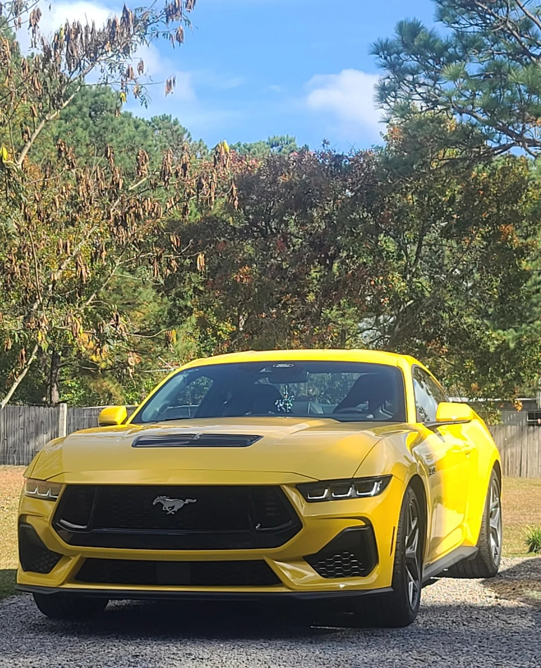 S650 Mustang Got lucky!! 20231027_144731