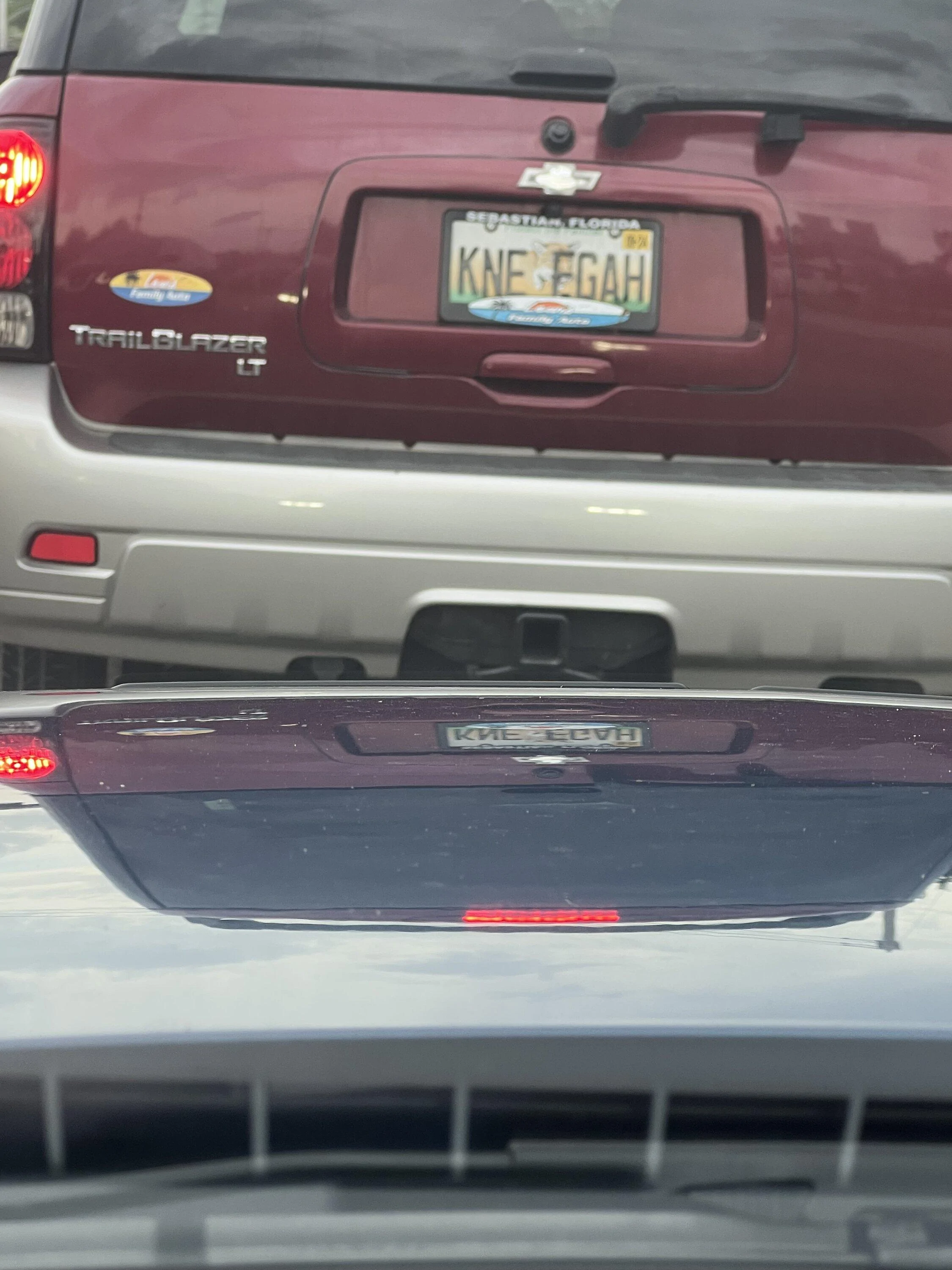S650 Mustang Vanity / custom license plate ideas? IMG_4687