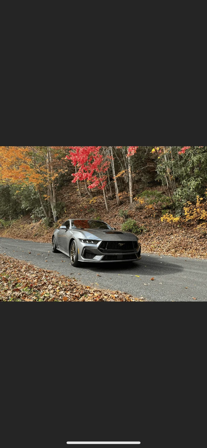 S650 Mustang Official CARBONIZED GRAY Mustang S650 Thread IMG-1346