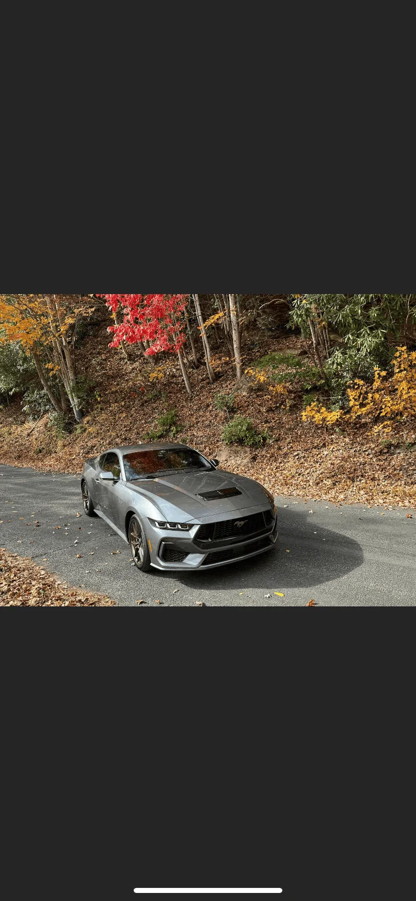 S650 Mustang Official CARBONIZED GRAY Mustang S650 Thread IMG-1347