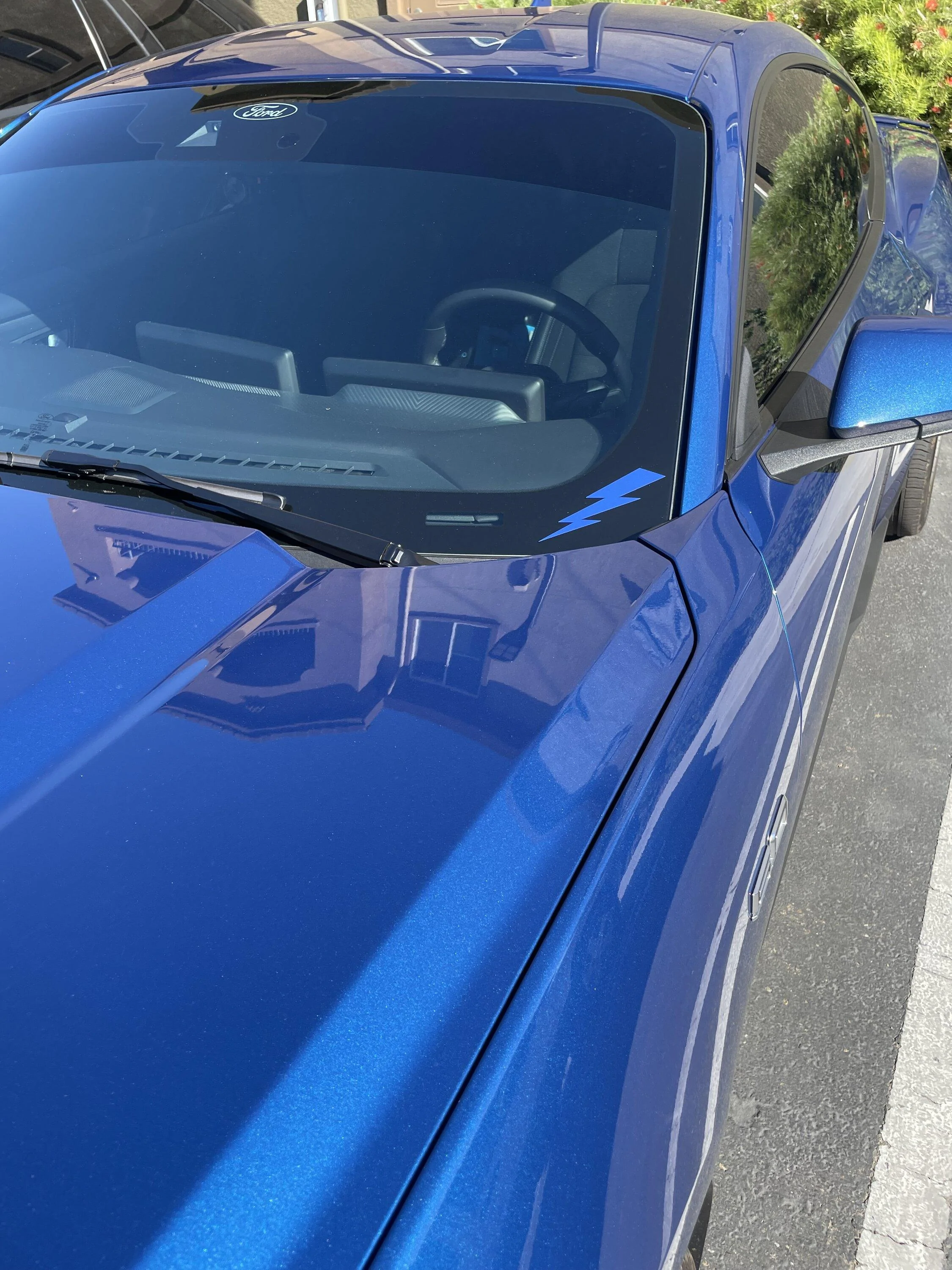S650 Mustang Official ATLAS BLUE Mustang S650 Thread IMG_6990