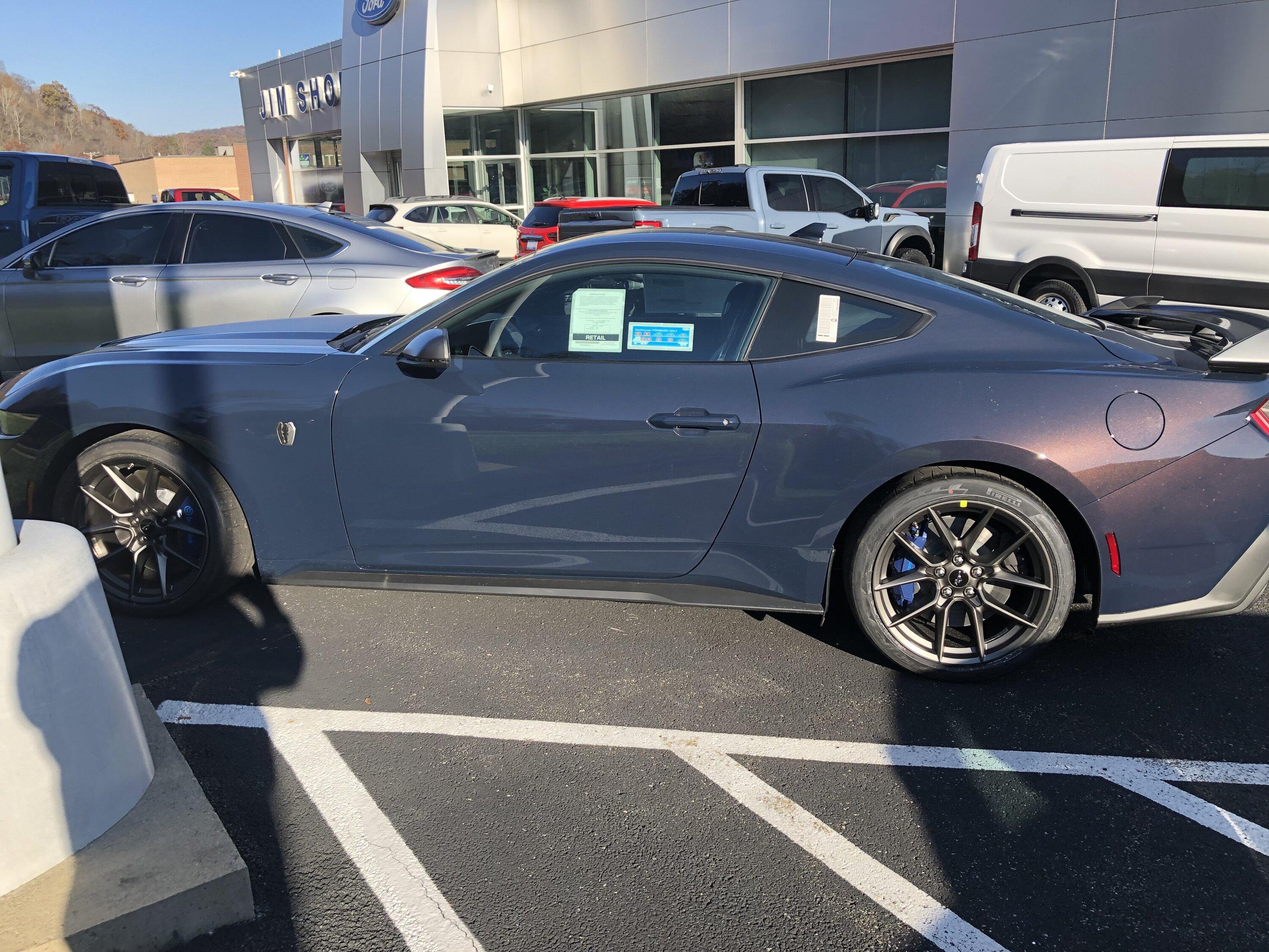 S650 Mustang Lots of unsold dark horse on ground IMG_6248