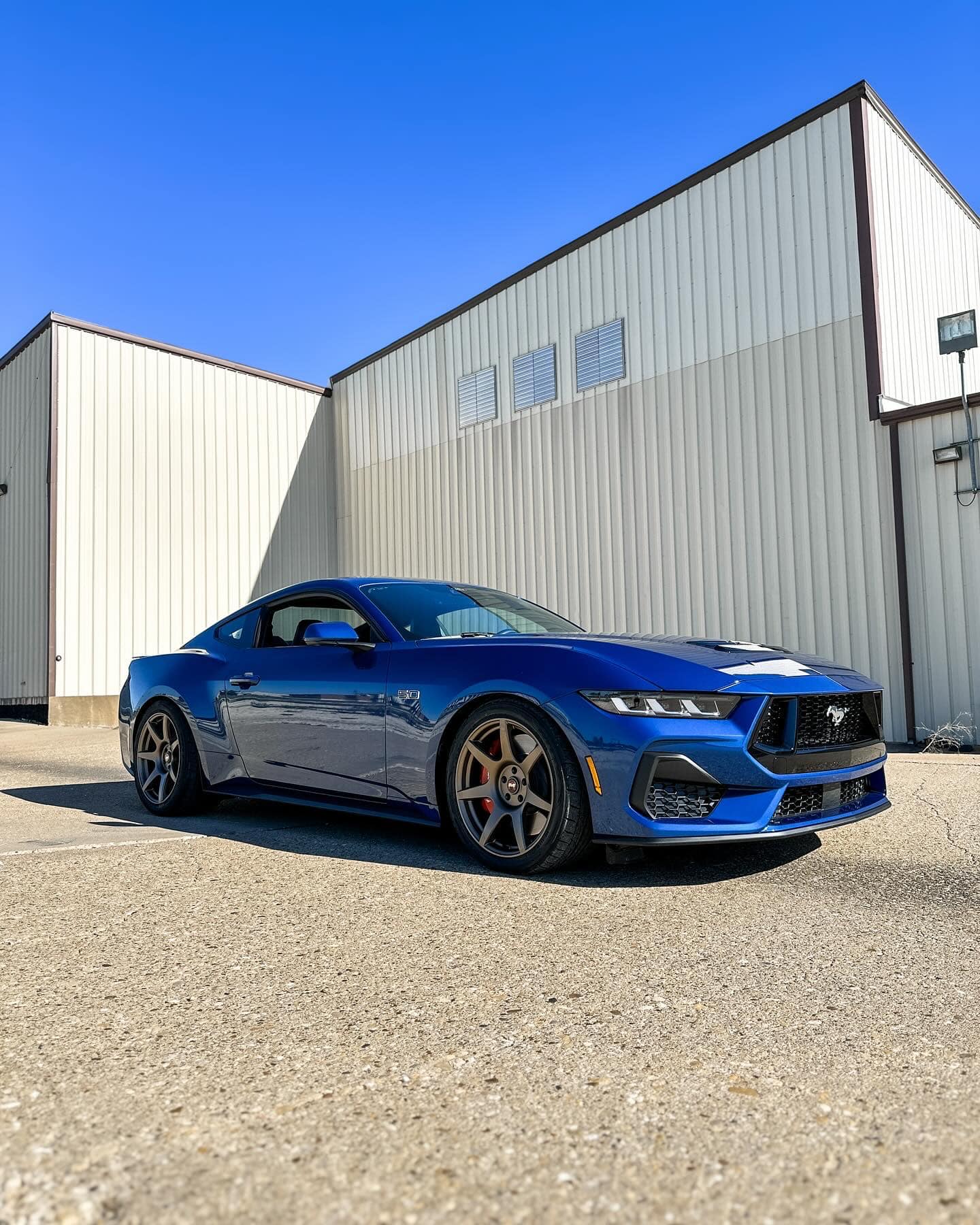S650 Mustang Official ATLAS BLUE Mustang S650 Thread 398627021_733111128849240_3864756174053889603_n