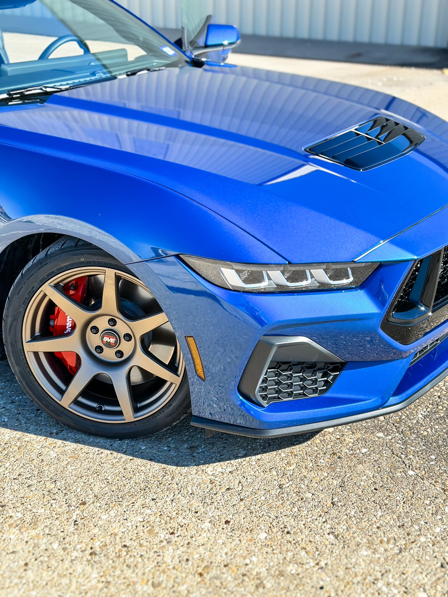 S650 Mustang Official ATLAS BLUE Mustang S650 Thread 398716603_733111215515898_8410227897407263852_n