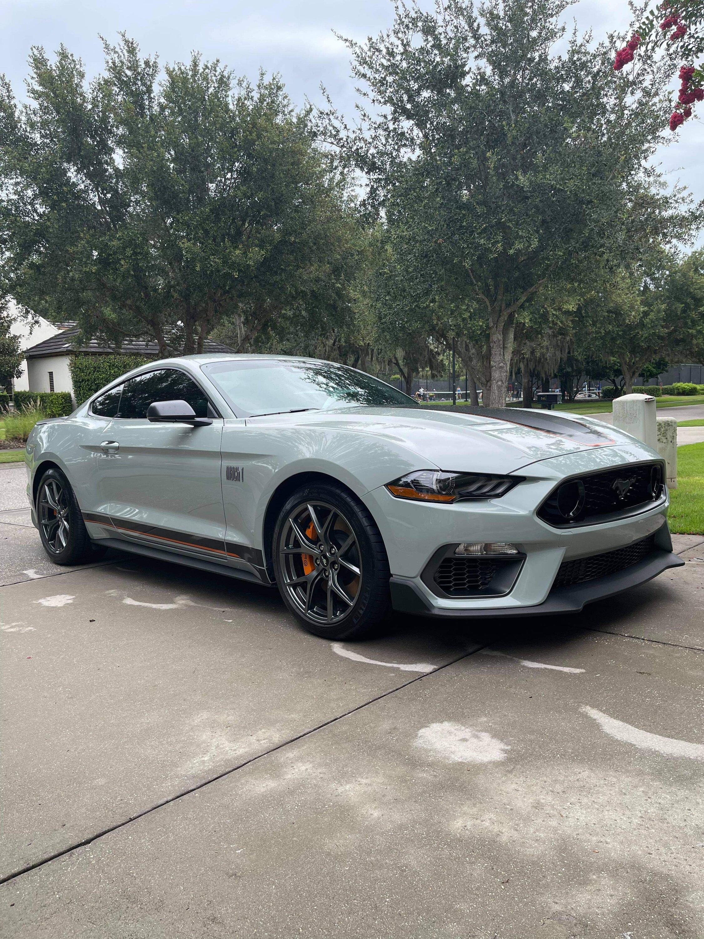 S650 Mustang Blue Smoke on start up.... IMG_1568