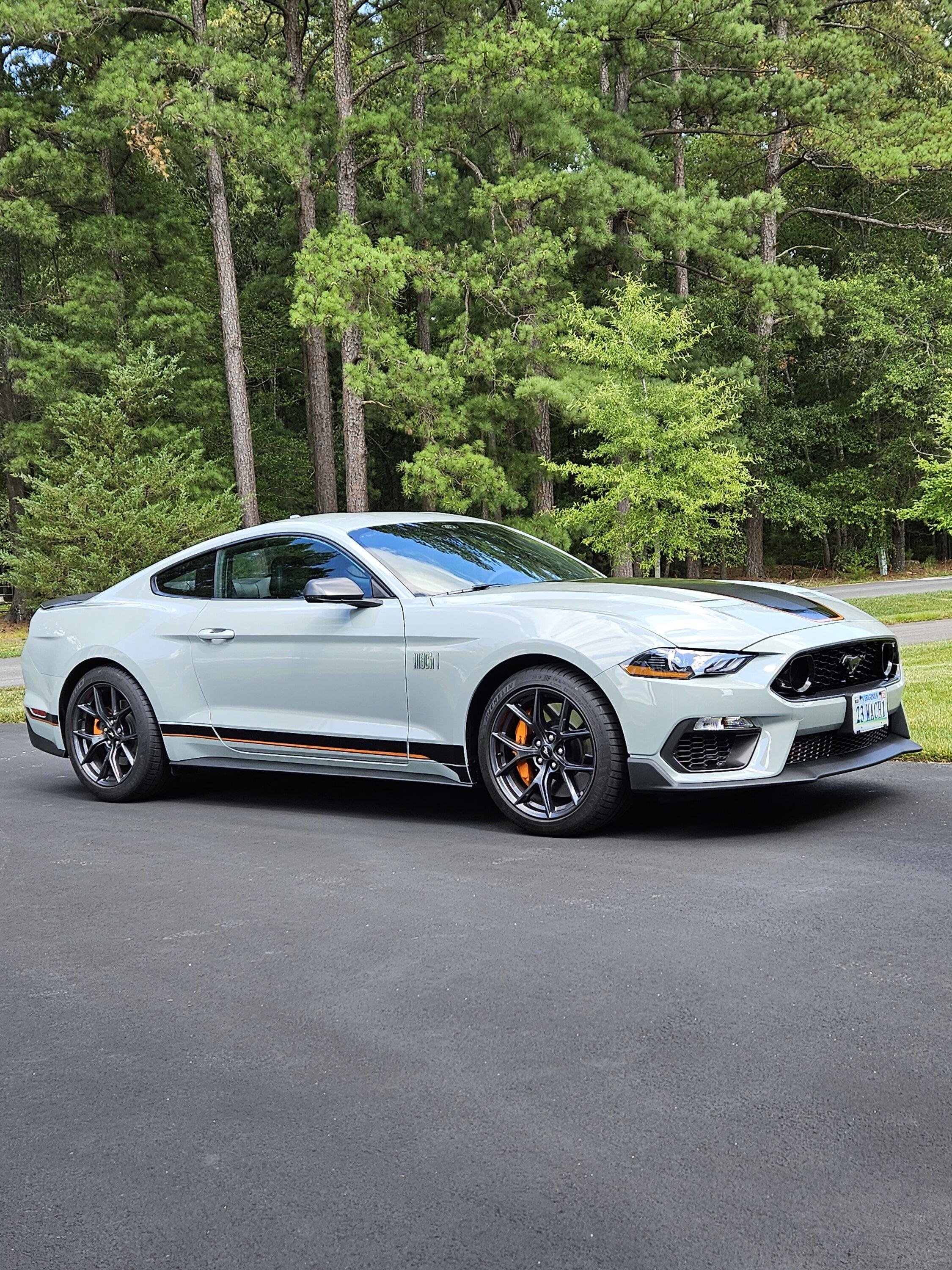 S650 Mustang Removing Dark Horse Vinyl Hood Decals 20230721_154621