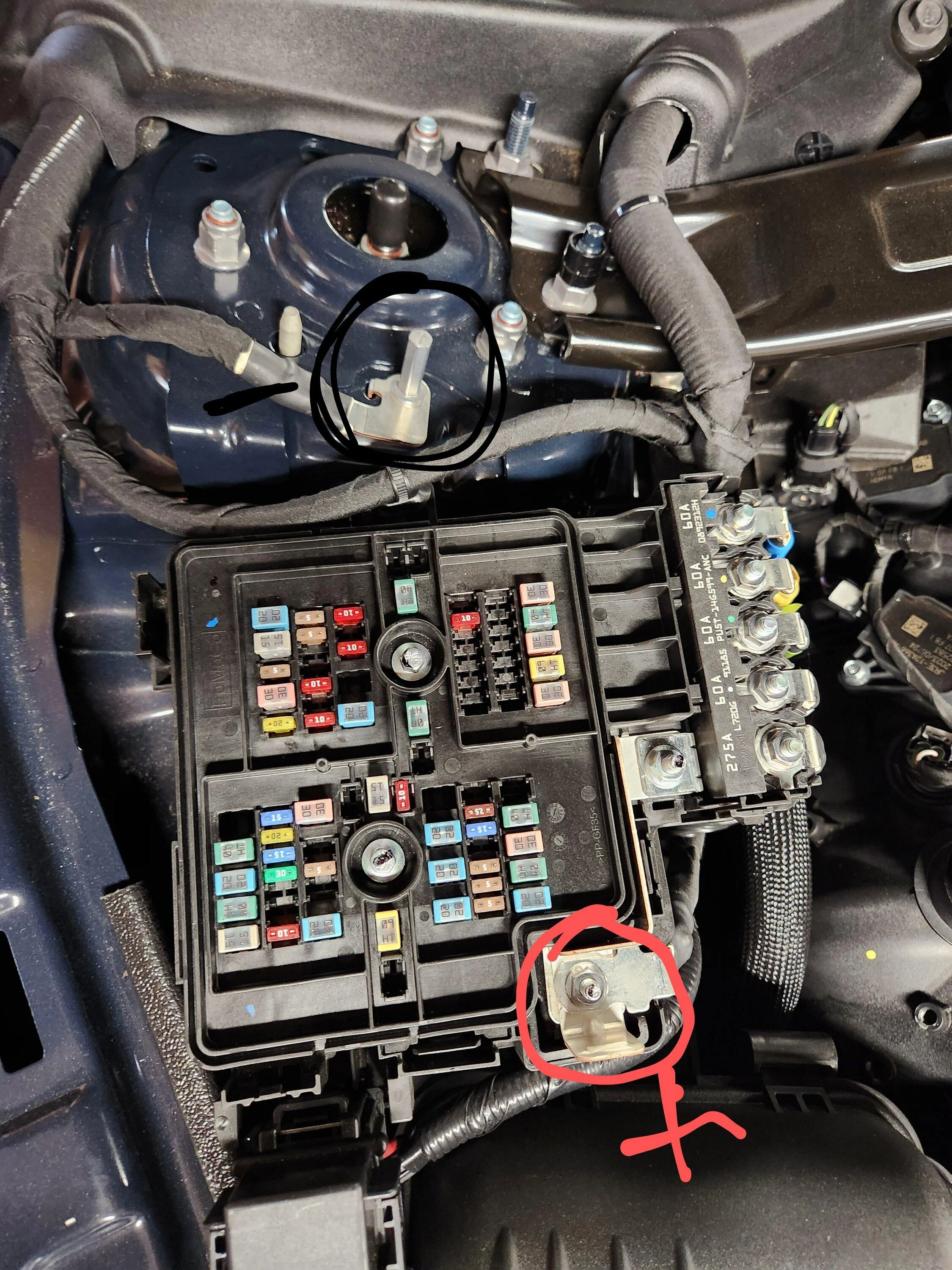 S650 Mustang Trickle charger recommendation for winter storage. 20231103_142233~2