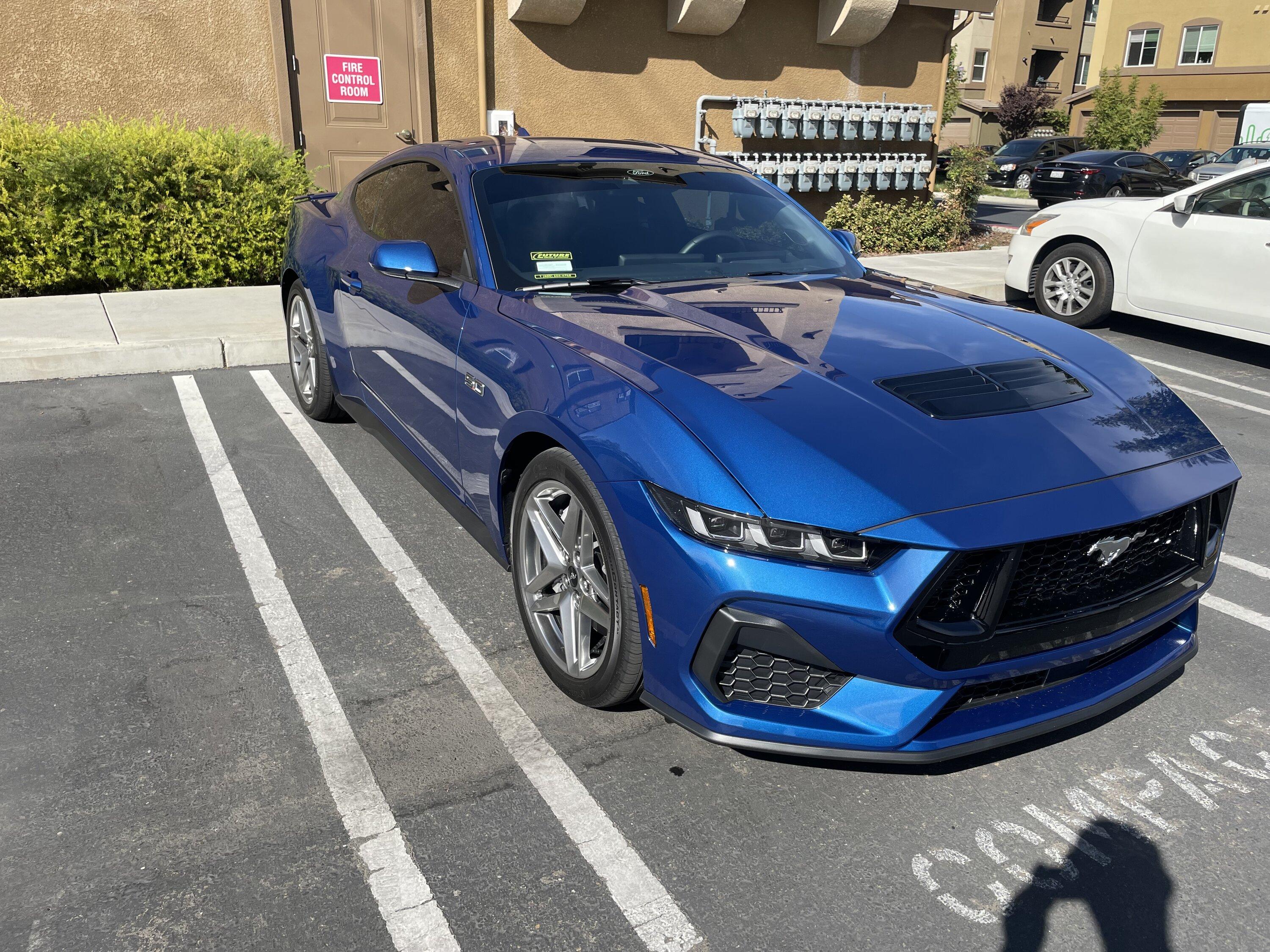 S650 Mustang Finally saw a s650 in person IMG_6907