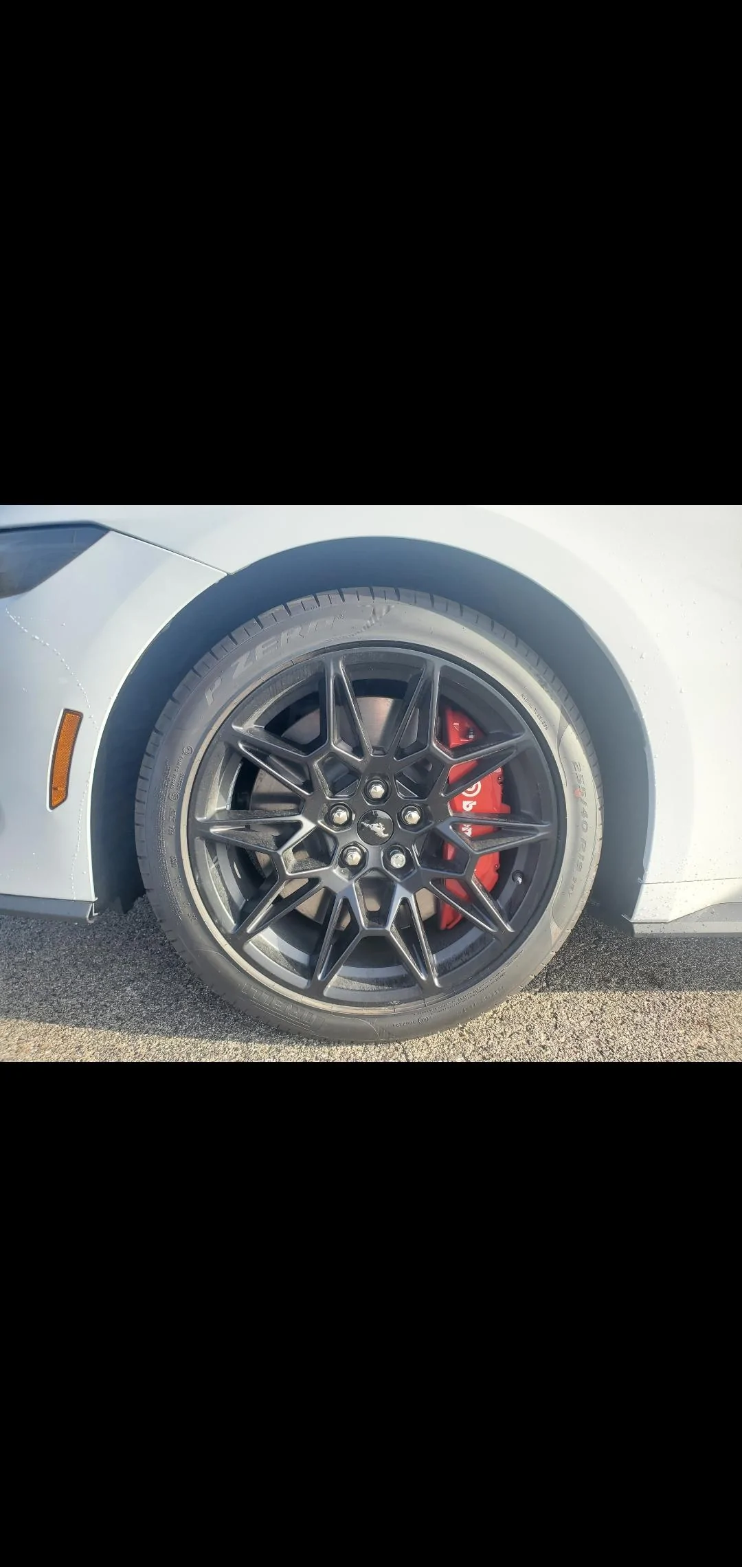 S650 Mustang 24 GT for sale $55k Screenshot_20231105-114011_Gallery