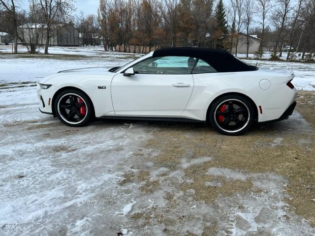 S650 Mustang New Sneakers 1