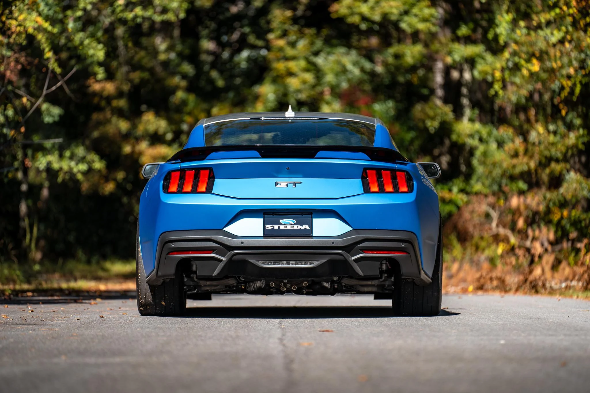 S650 Mustang Steeda 2024 Mustang GT Drag Car Runs 10s - 93 Pump Gas, No Nitrous! 53319073453_980ca5be24_k