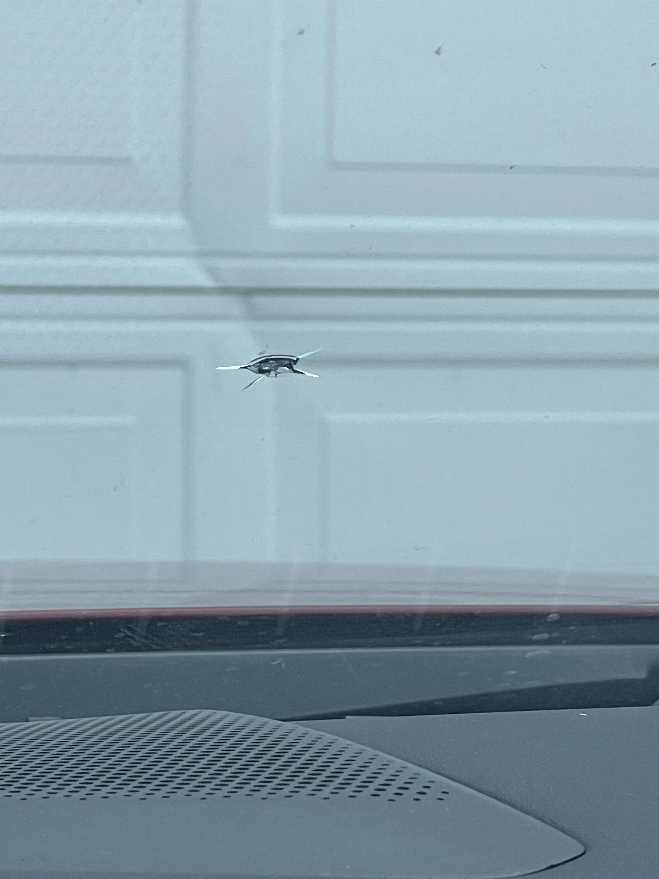 S650 Mustang Window scratched before delivery and repair IMG_3228