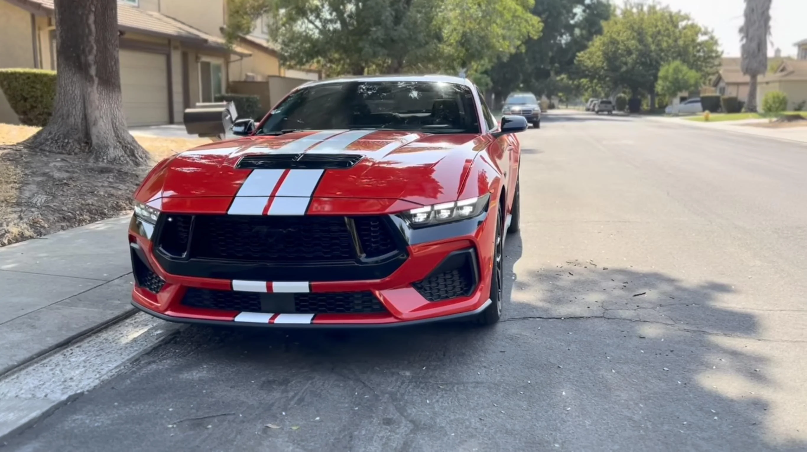 S650 Mustang Any company making stripe kits? IMG_6128