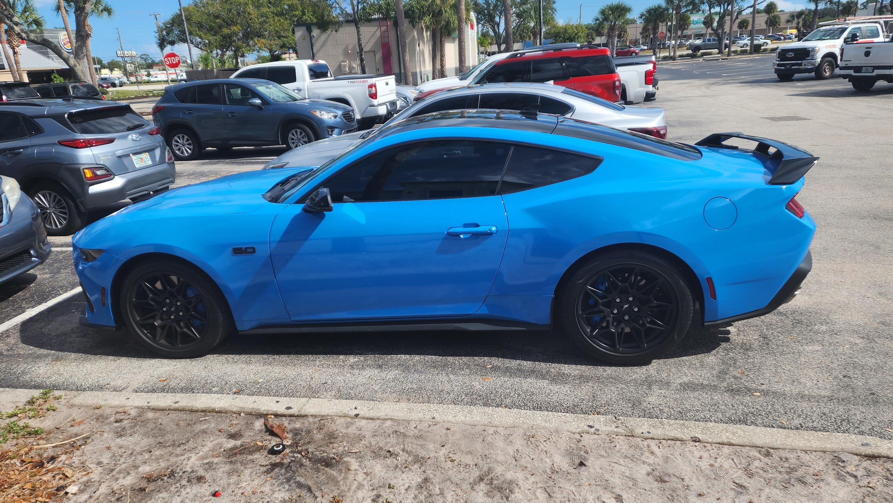 S650 Mustang Official GRABBER BLUE Mustang S650 Thread 20231110_123236