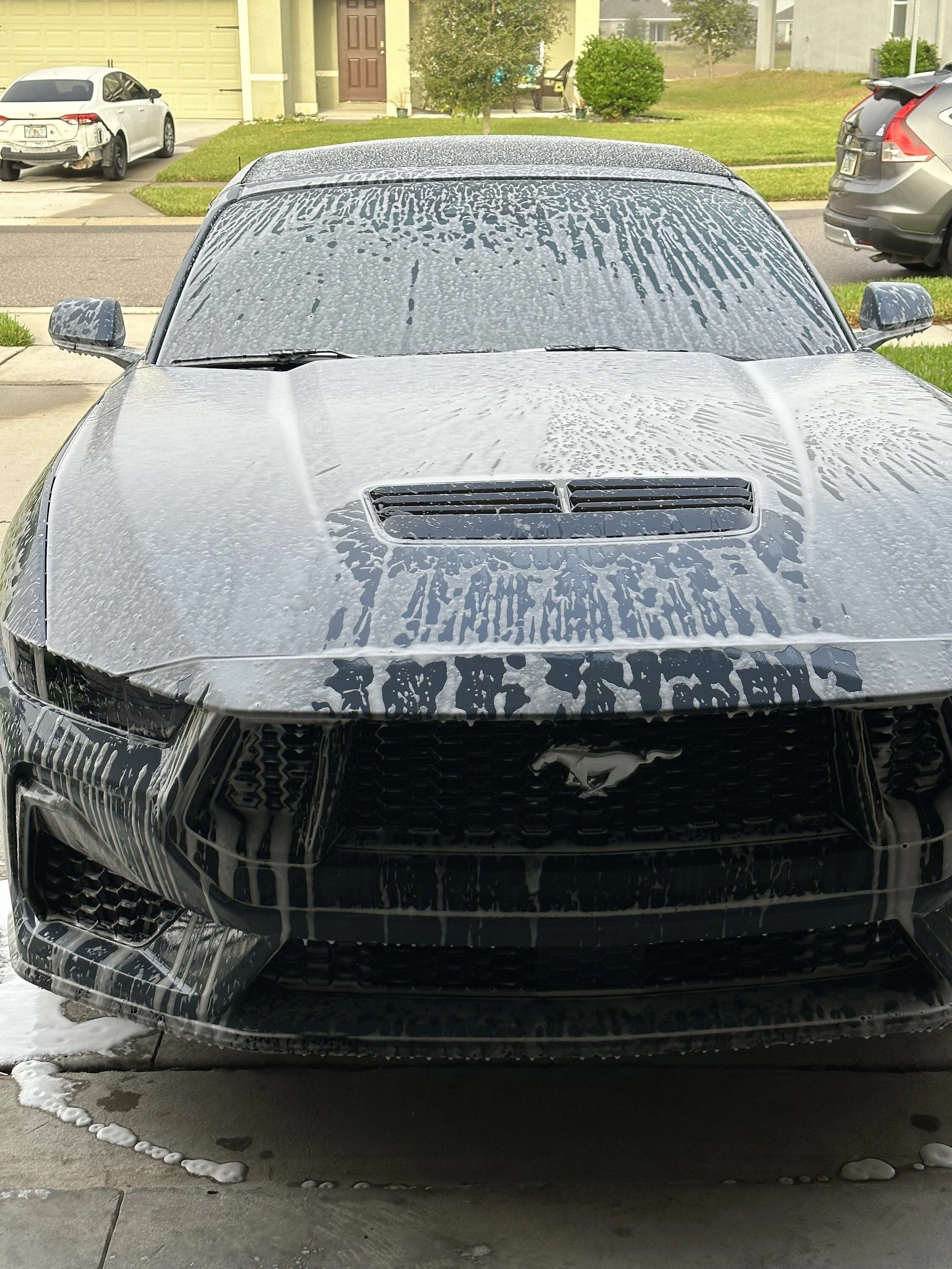 S650 Mustang Ppf and beading pics IMG_5765