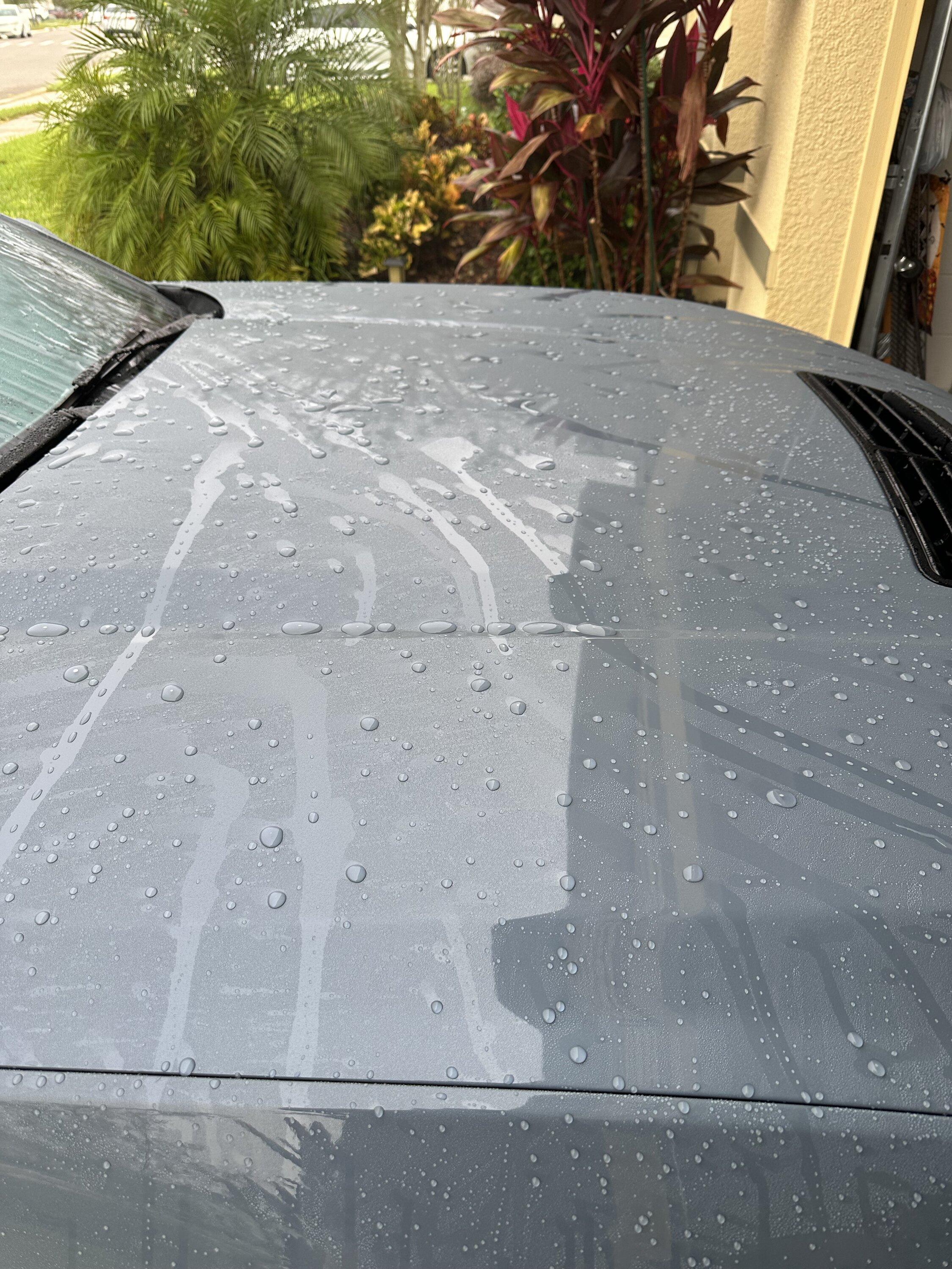 S650 Mustang Ppf and beading pics IMG_5766
