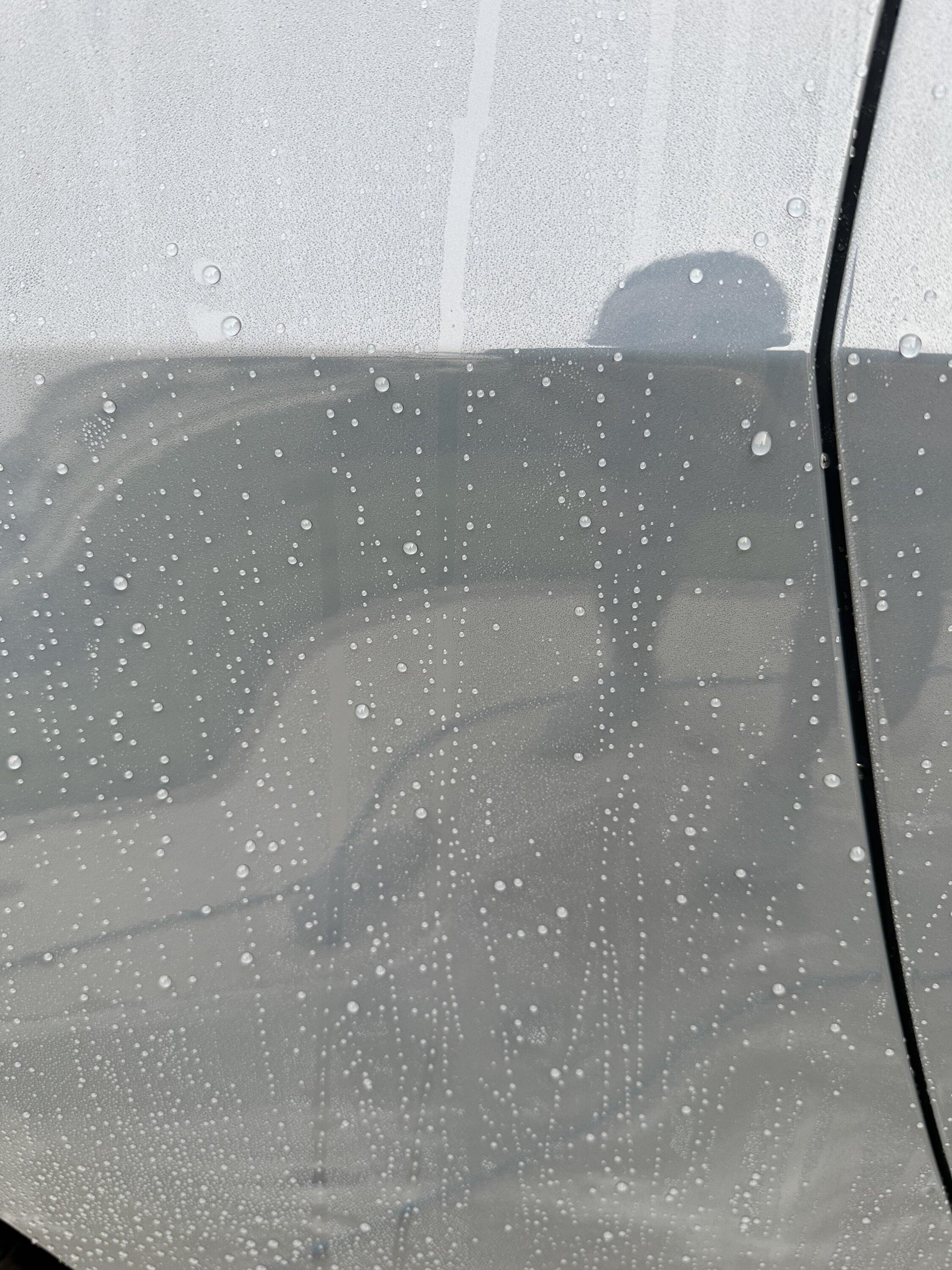 S650 Mustang Ppf and beading pics IMG_5767