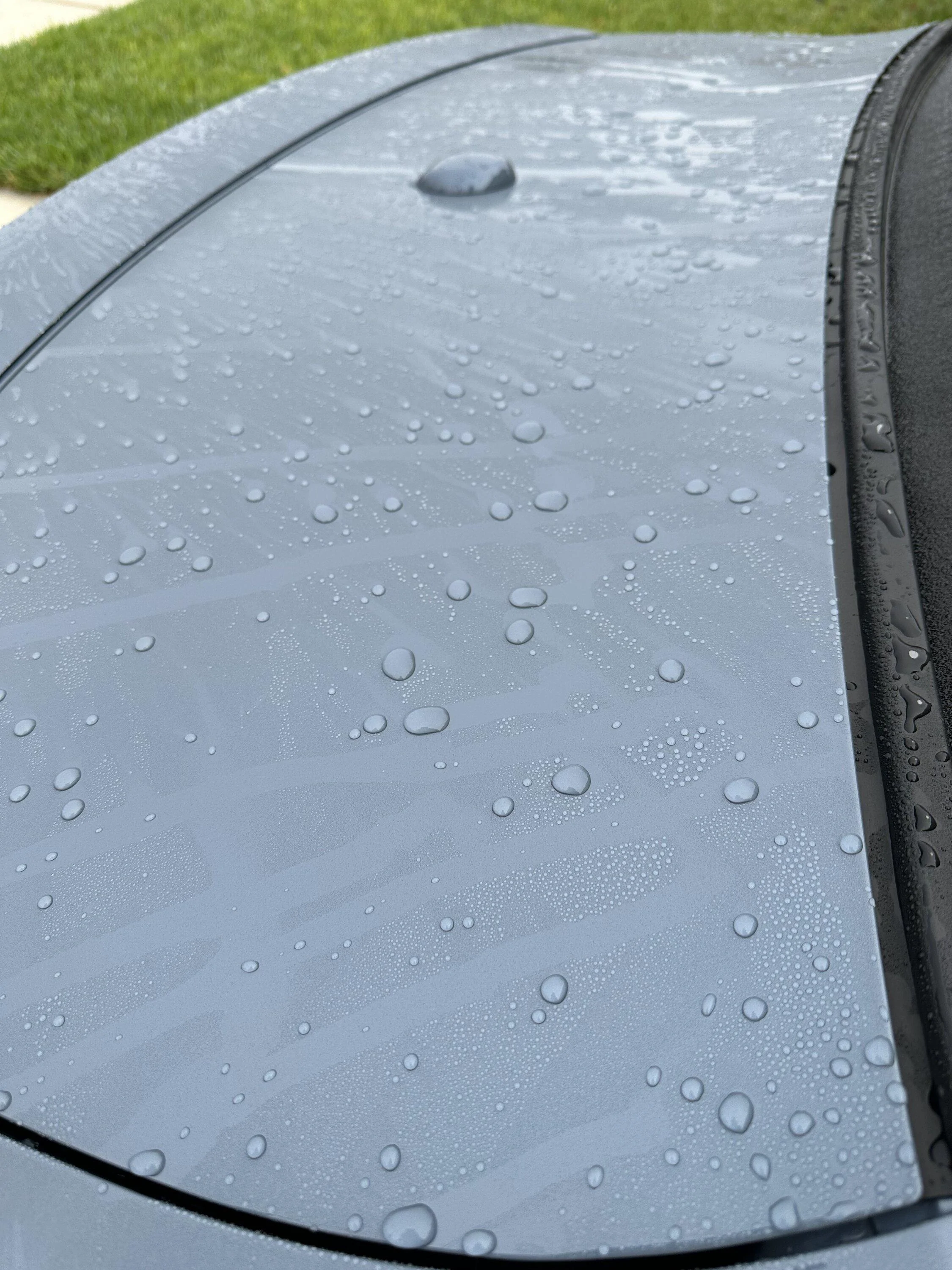 S650 Mustang Ppf and beading pics IMG_5768