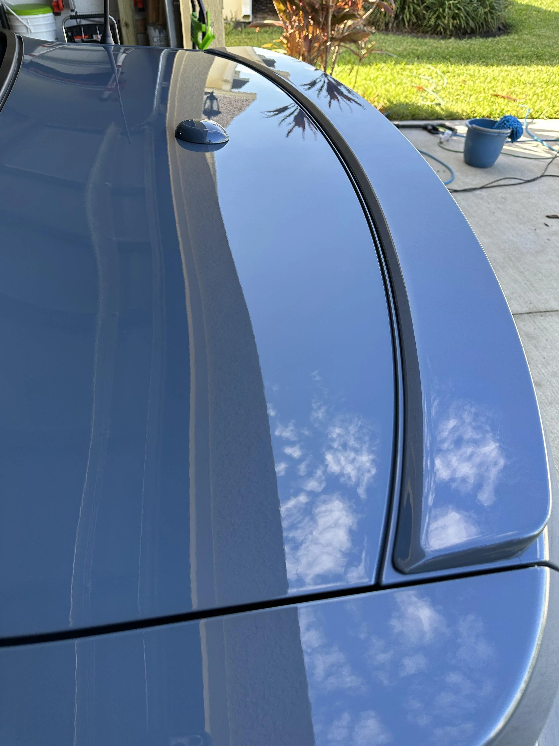 S650 Mustang Ppf and beading pics IMG_5771