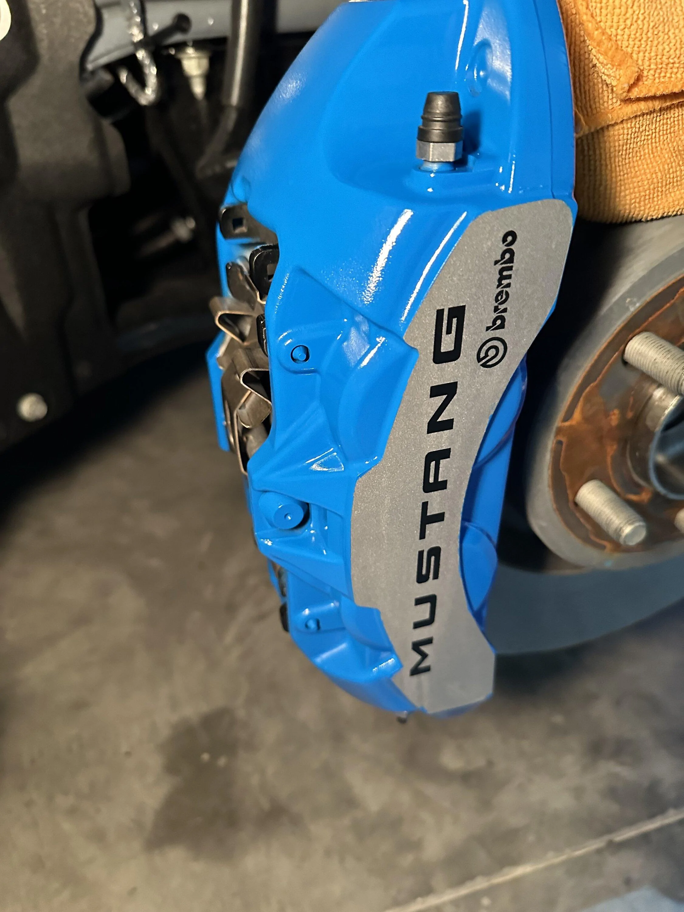 S650 Mustang Ppf and beading pics IMG_5773