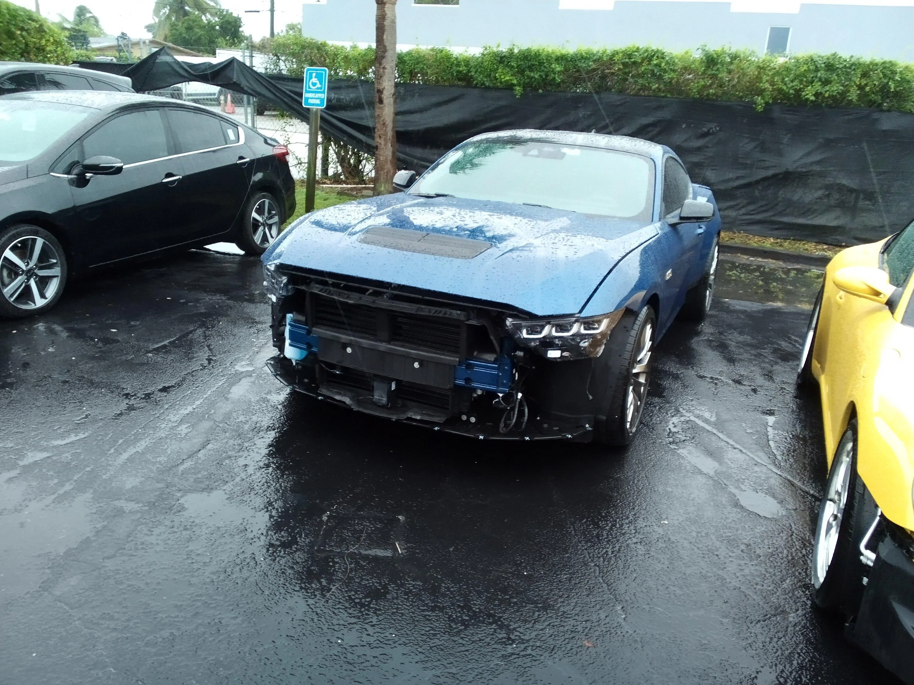 S650 Mustang Gloss black trim IMG_20231115_132327