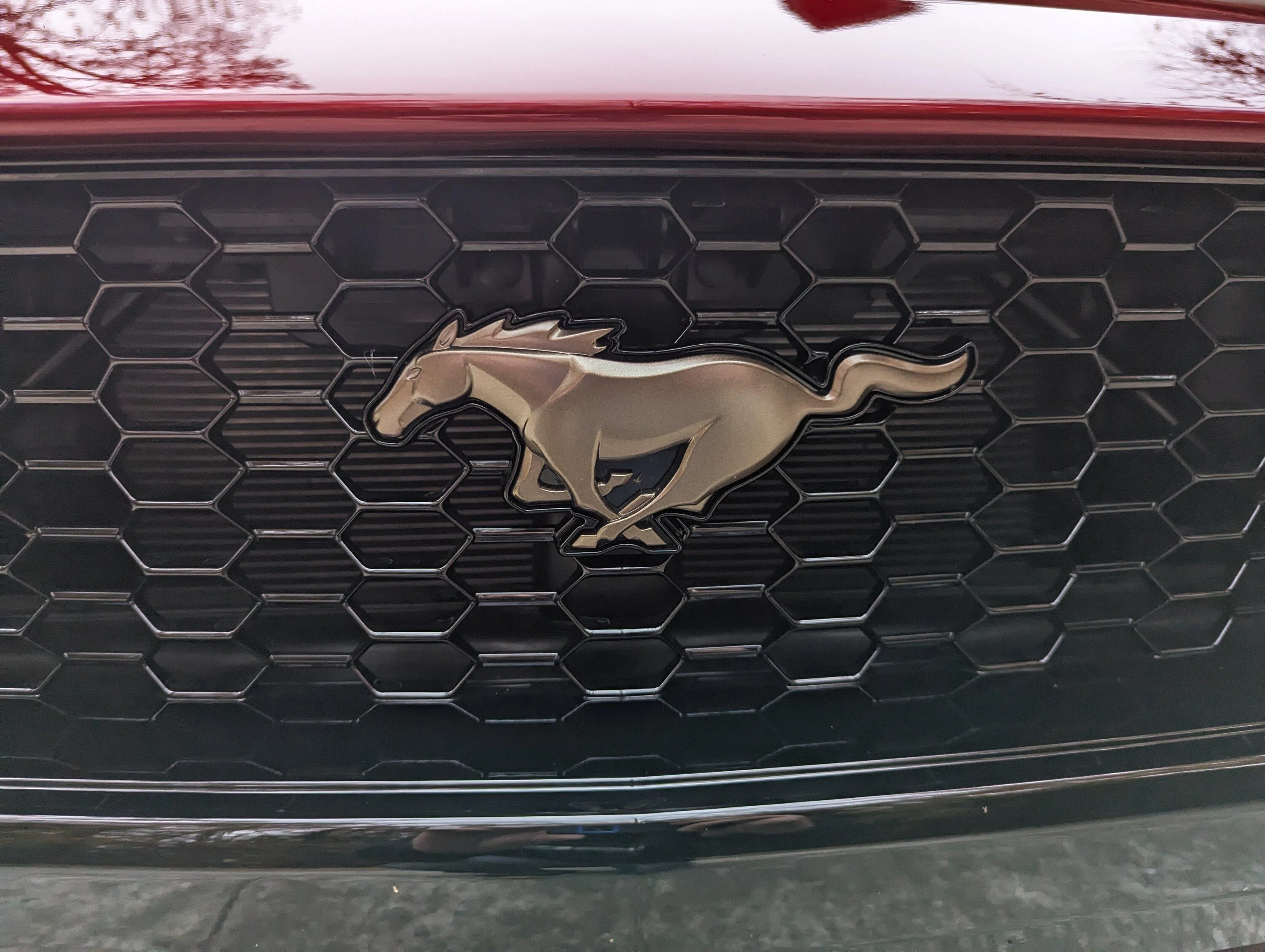 S650 Mustang Official RAPID RED Mustang S650 Thread PXL_20231115_214625982