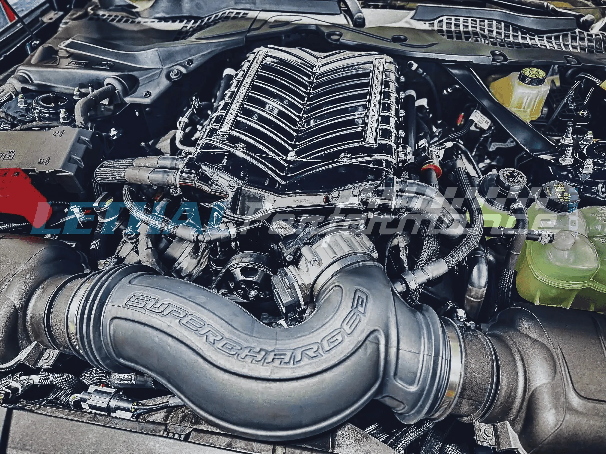 S650 Mustang Whipple Gen 6 Supercharger coming for 2024 Mustang S650 IMG_9938