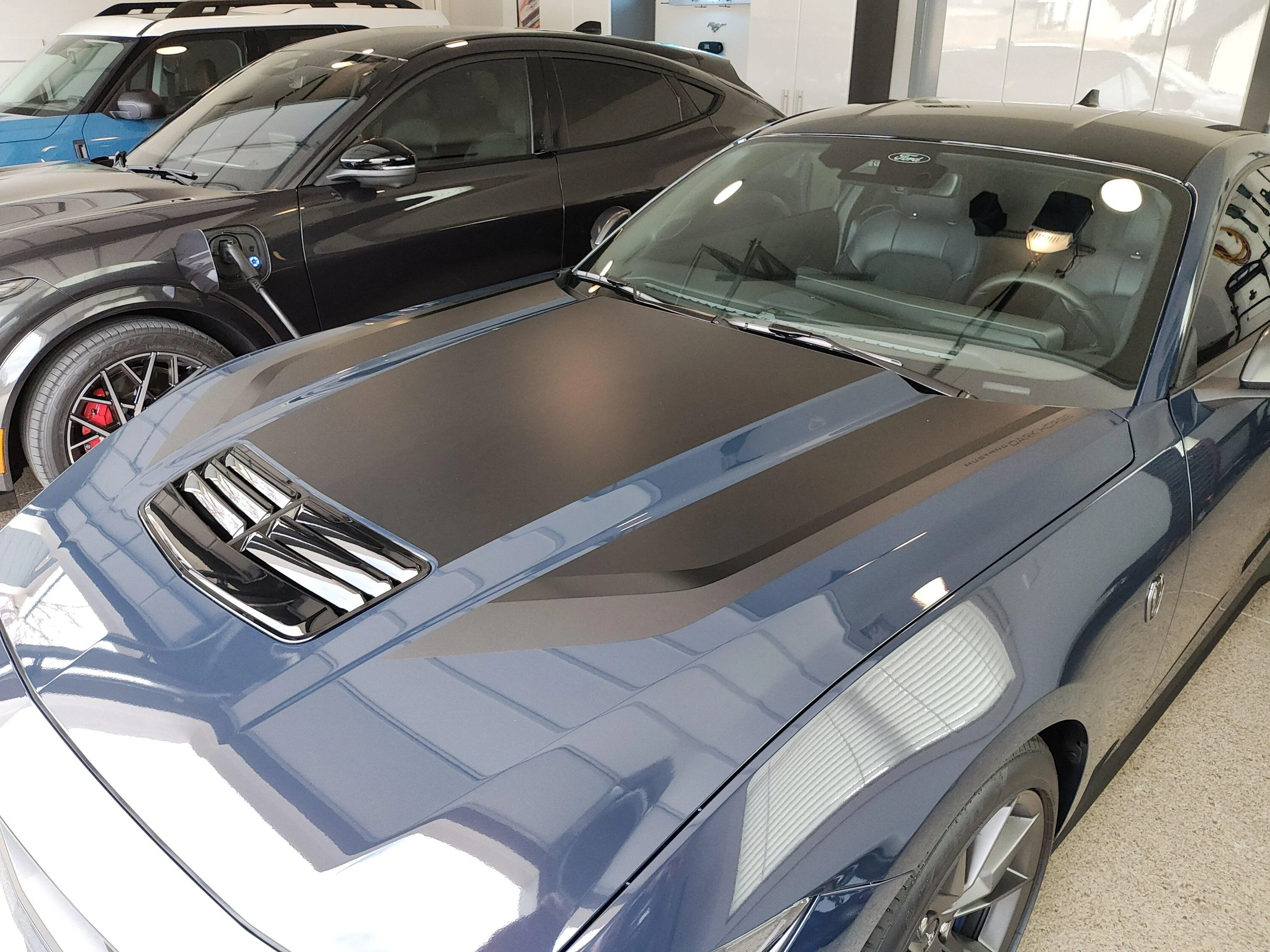 S650 Mustang Hood Vinyl Decal Wax IMG_20231116_101450460