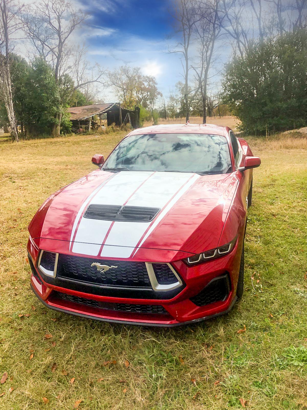 S650 Mustang Custom hood stripe and grill painted on my S650 GT IMG_20231120_082904-Edit