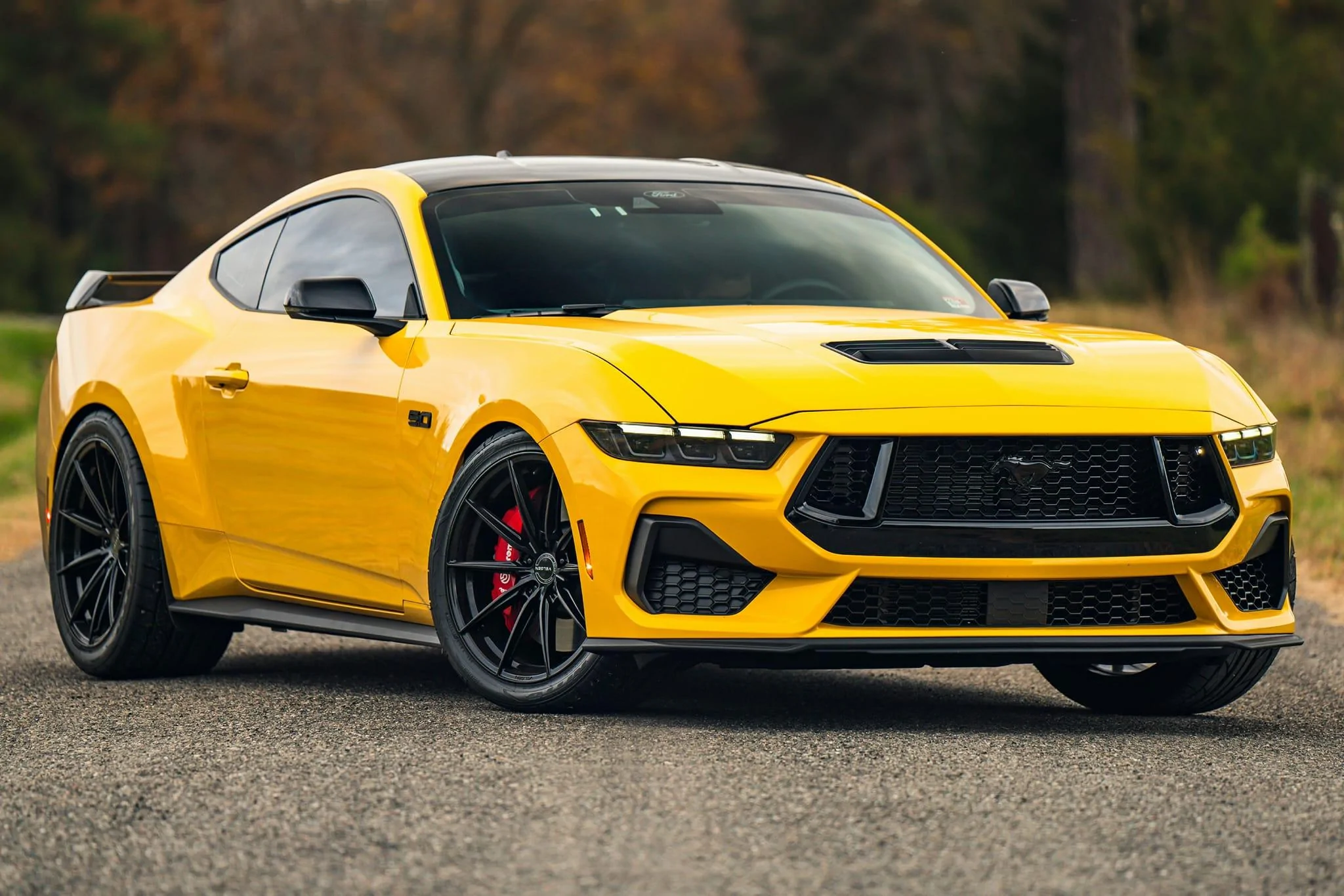 S650 Mustang Official YELLOW SPLASH Mustang S650 Thread Yellow Splash 44