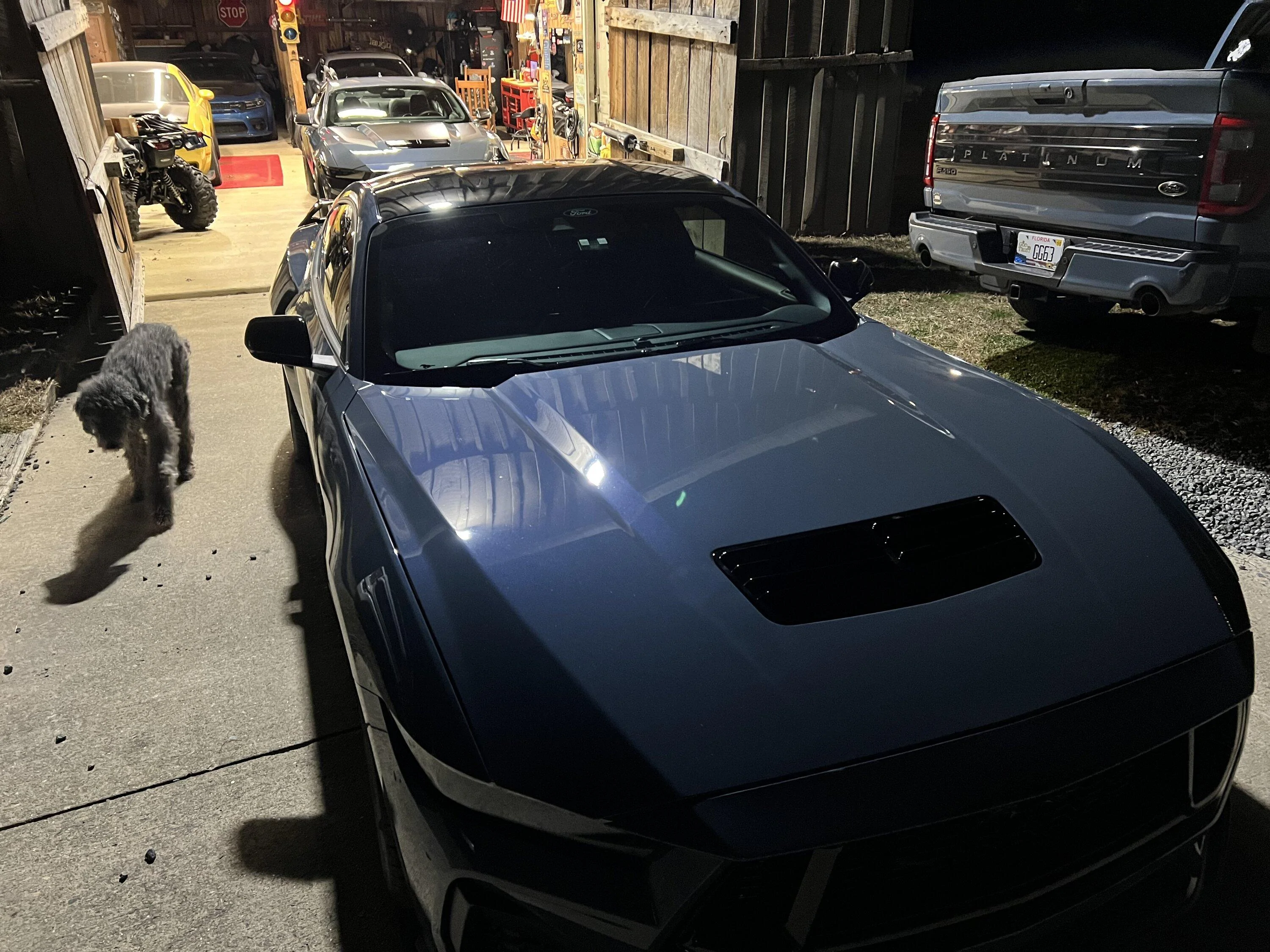 S650 Mustang Wow proud owner of the Dark Horse Handling Package!!!! IMG_5511