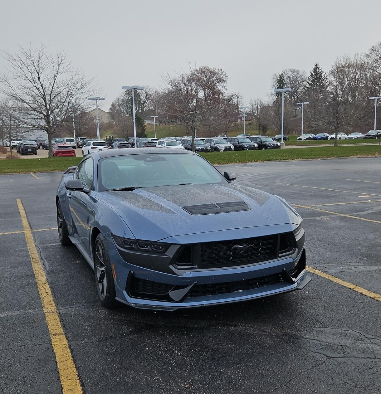 S650 Mustang Introductions & Welcome Thread 👋 Screenshot_20231127_222648_Gallery