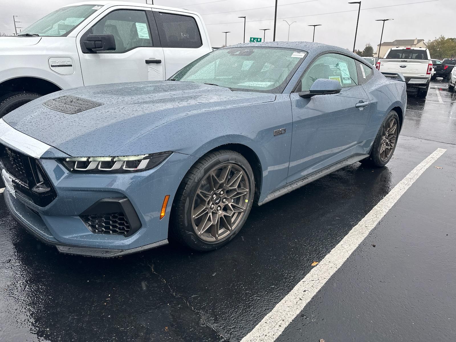 S650 Mustang Official VAPOR BLUE Mustang S650 Thread IMG_20231130_174126
