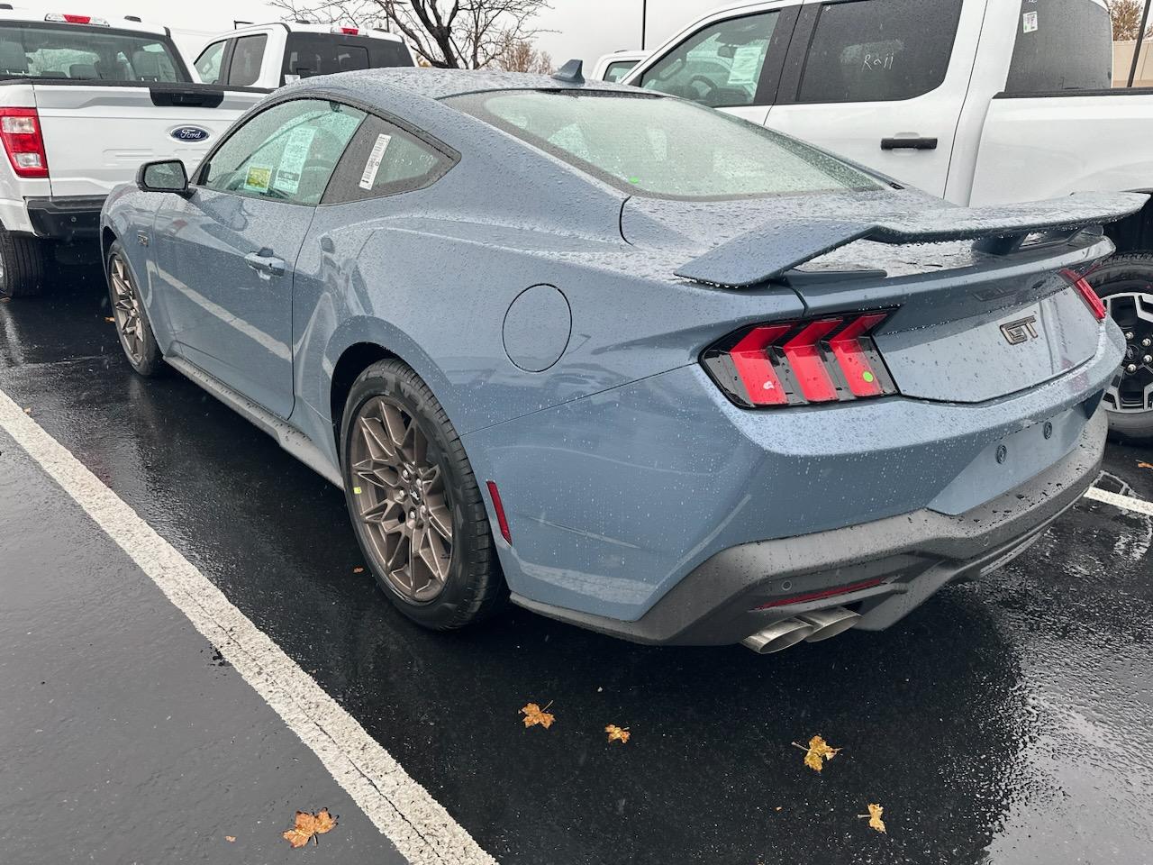 S650 Mustang Official VAPOR BLUE Mustang S650 Thread IMG_20231130_174134