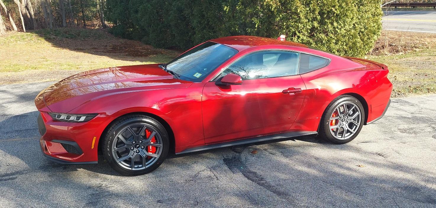 S650 Mustang Introductions & Welcome Thread 👋 20231129_132451