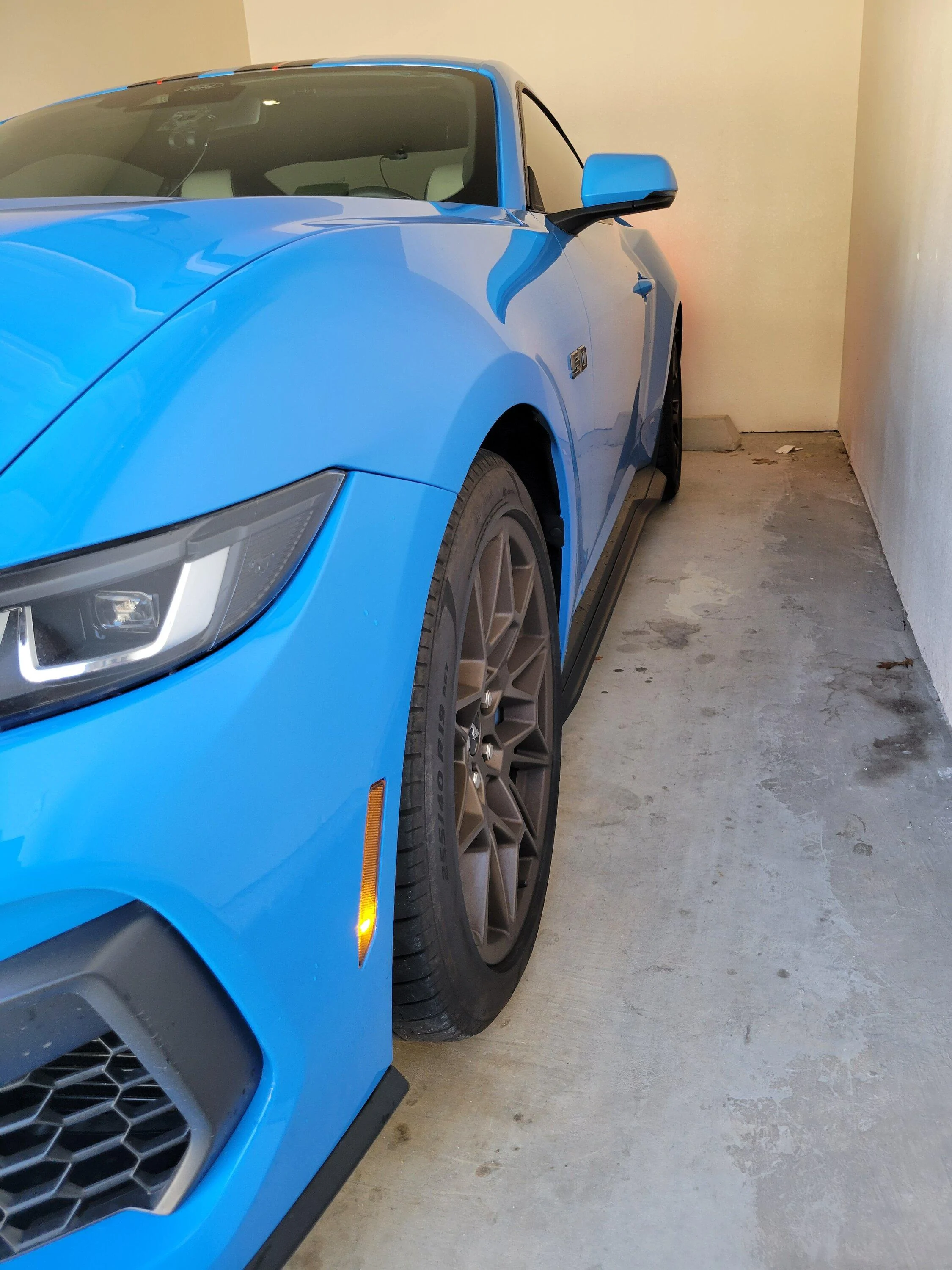 S650 Mustang Greywolfes RTR spec 1/2 20231202_133936