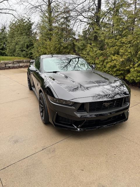 S650 Mustang Introductions & Welcome Thread 👋 IMG_0118