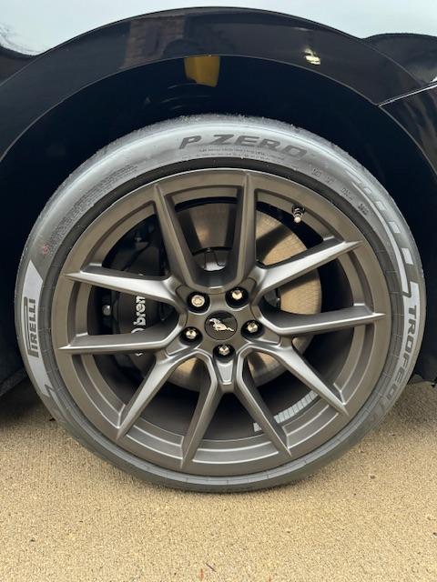 S650 Mustang Introductions & Welcome Thread 👋 IMG_0133