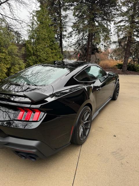 S650 Mustang Introductions & Welcome Thread 👋 IMG_0119