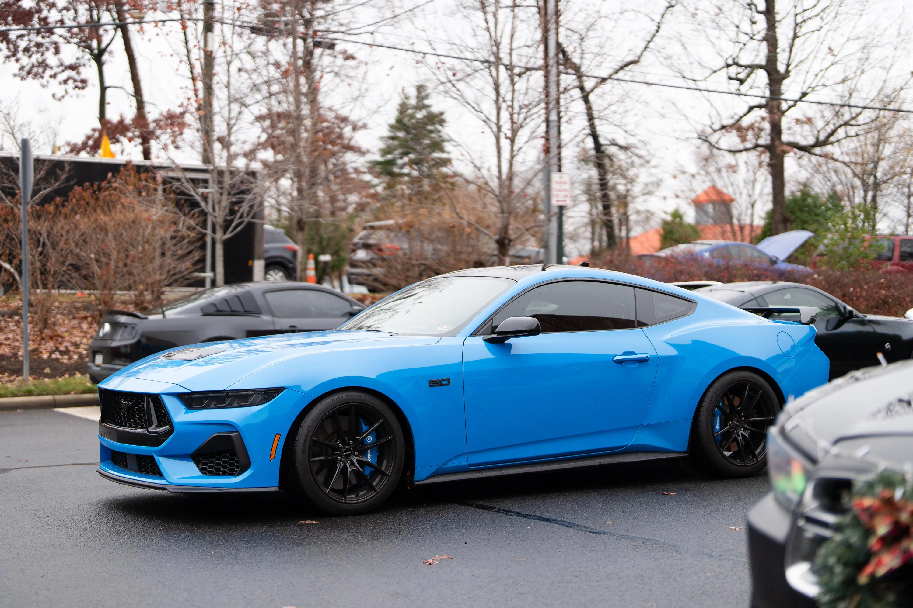 S650 Mustang Official GRABBER BLUE Mustang S650 Thread DSB06972