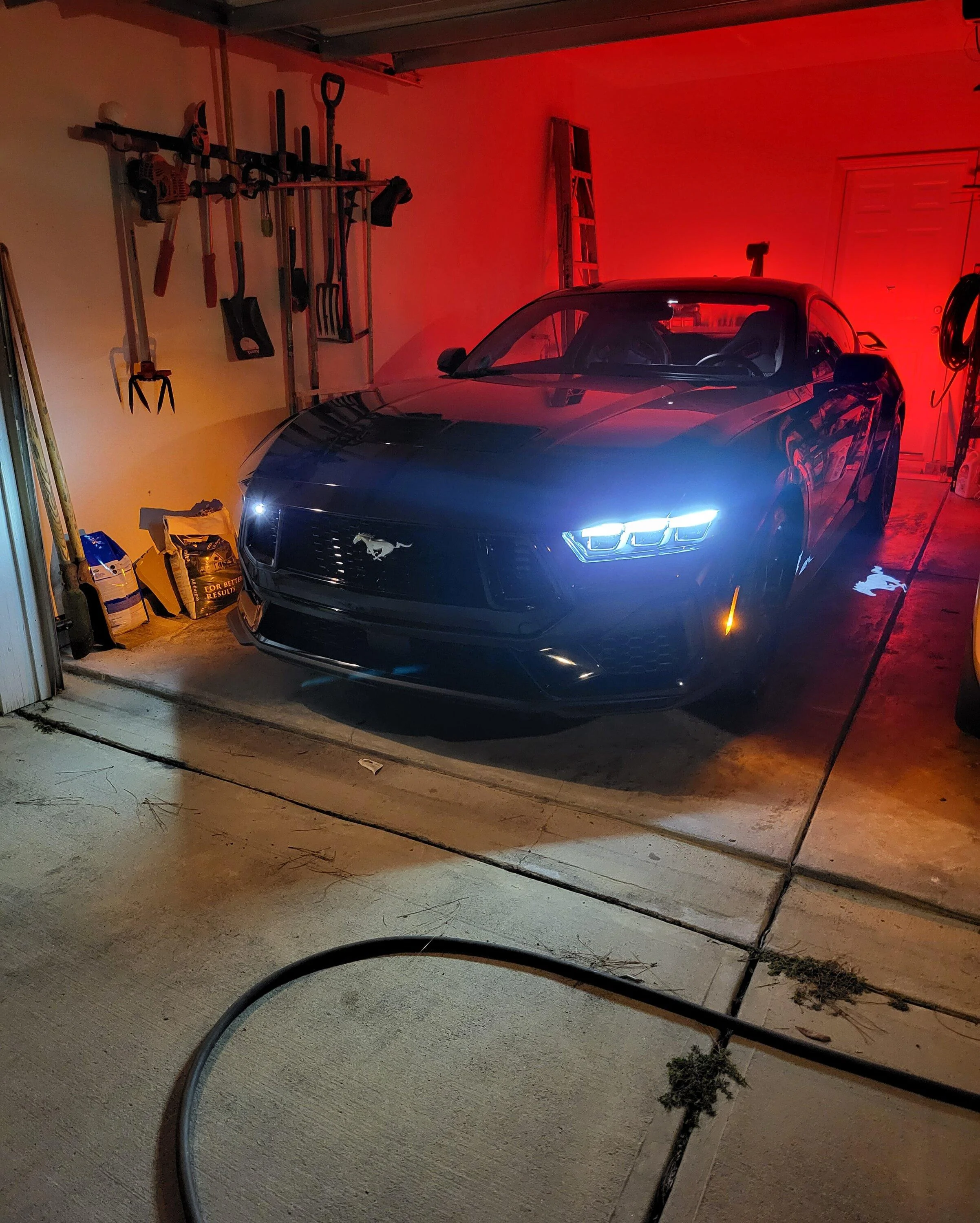 S650 Mustang 2024+ Mustang S650 Orders Tracking List & Stats [Enter Yours!] 20231204_204659